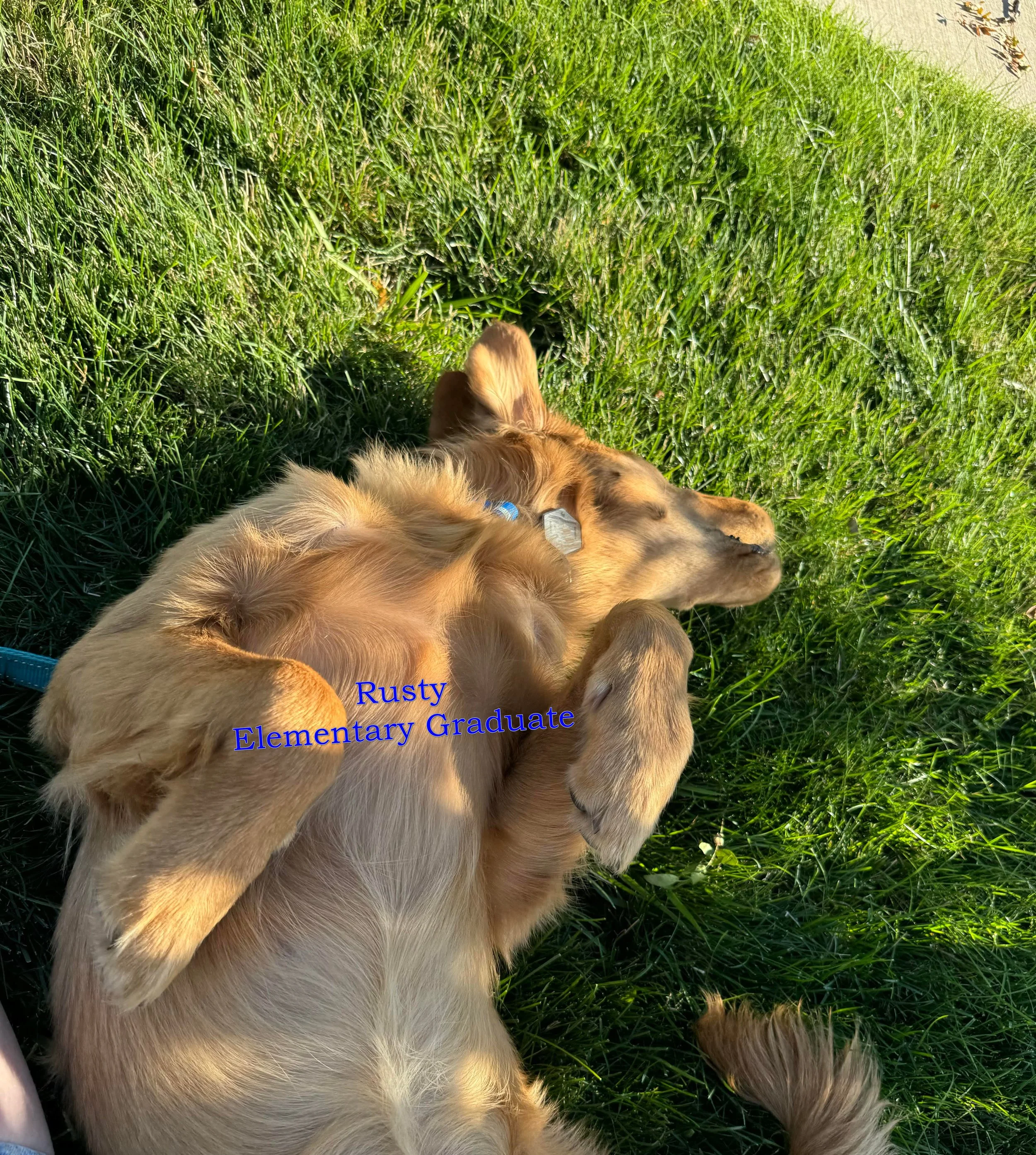 Rusty elementary.jpg