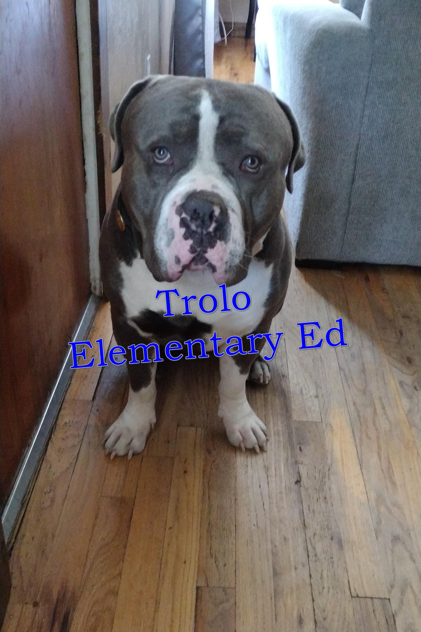 trolo elementary.jpg