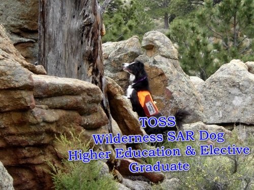 TOSS 1 higher ed.jpg