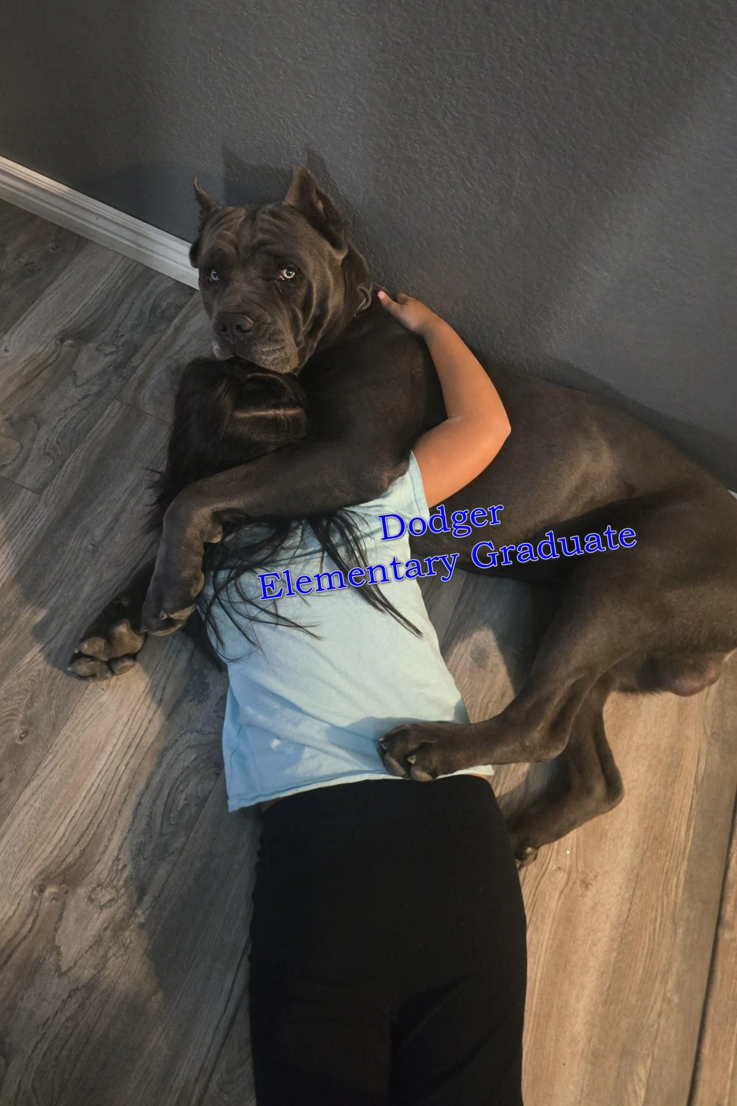 dodger elementary grad.jpg