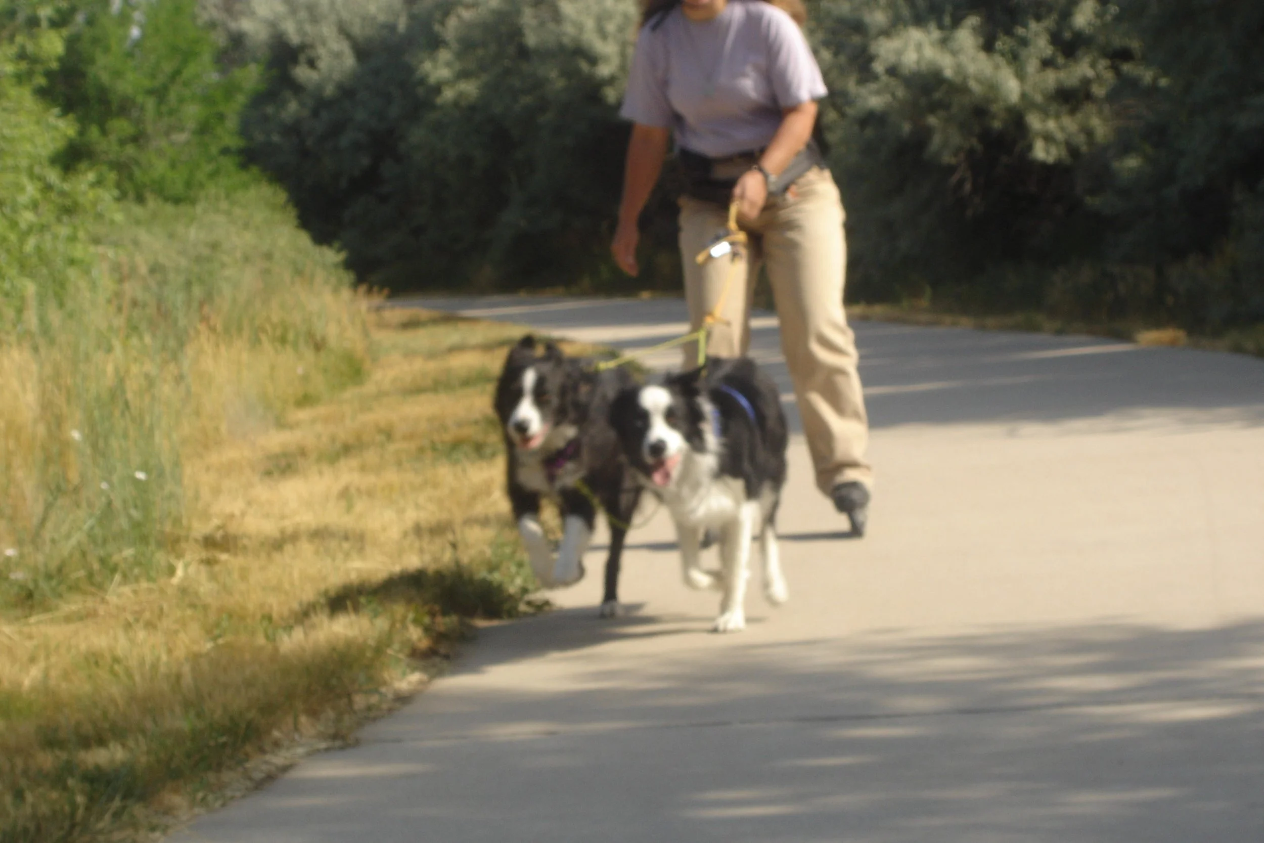 Toss and Mi, joring with roller blades through the Elective program