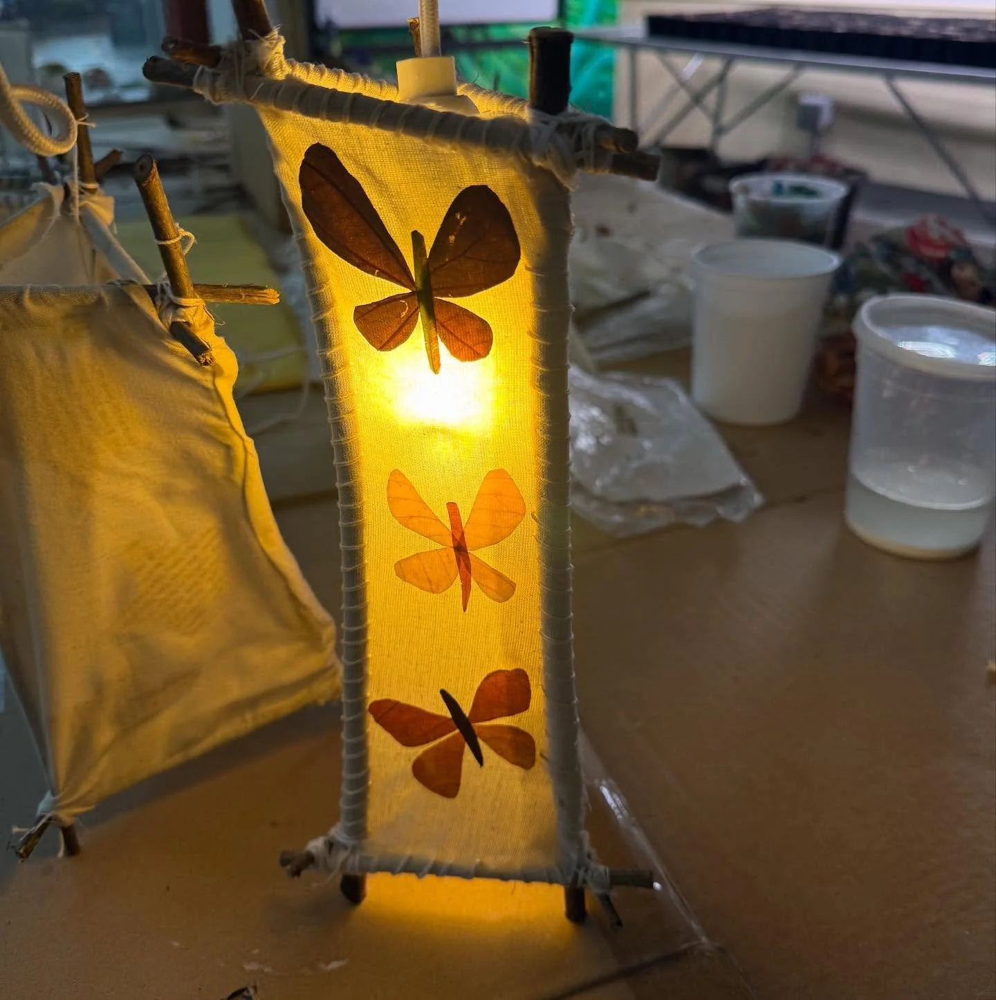 a few of the lanterns from this last week in Artmaking and Ecology! (course in @uvm_rsenr at @universityofvermont)