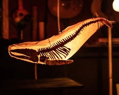 holiday lantern preorders! if you for some mysterious reason are wanted to order a whale or fish lantern for the swiftly oncoming winter season, now is your chance! head to our website and you can preorder a whale lantern (whichever one you like!) fo