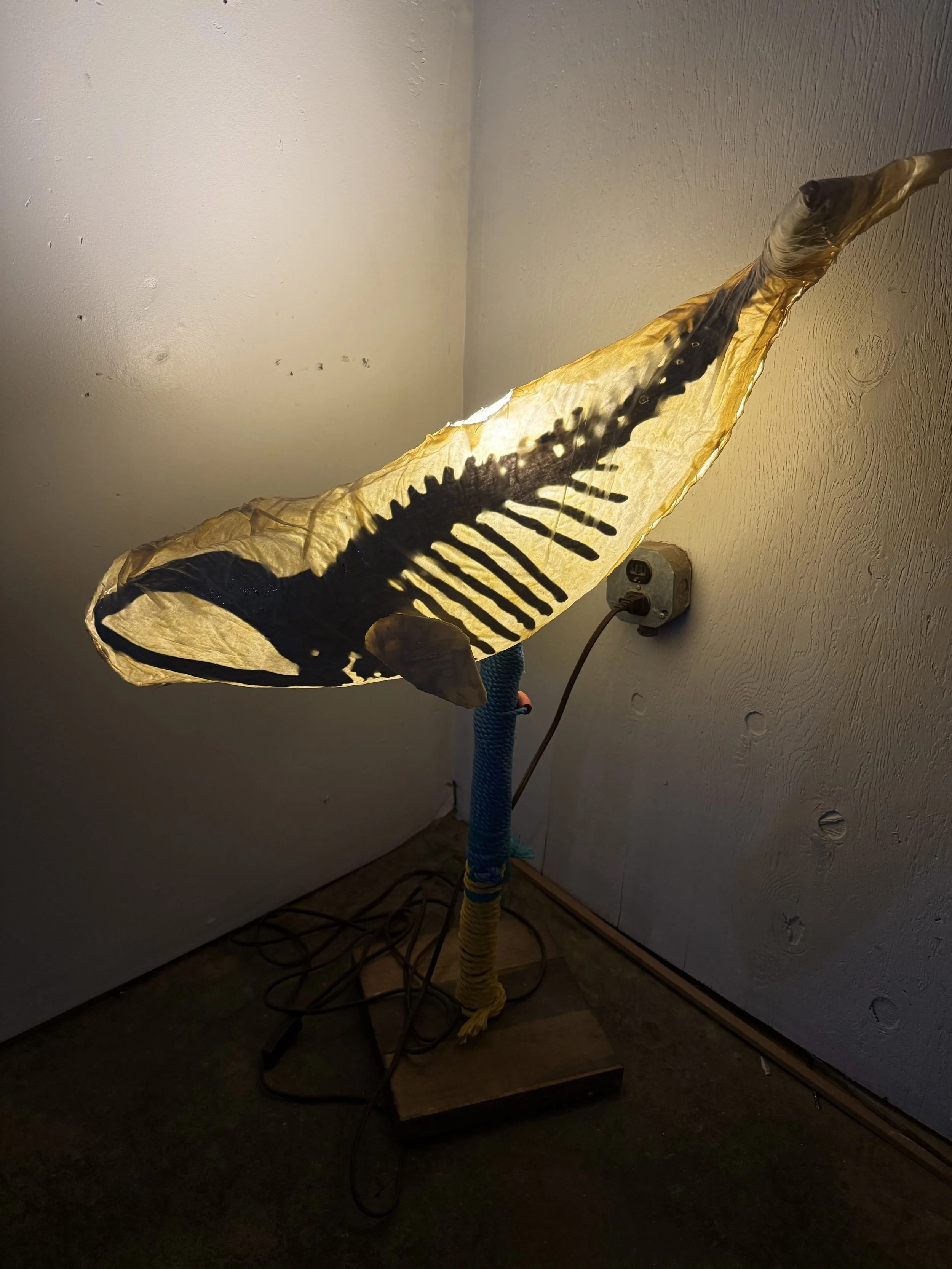 LOCAL PICKUP ONLY Right whale floor/table lamp