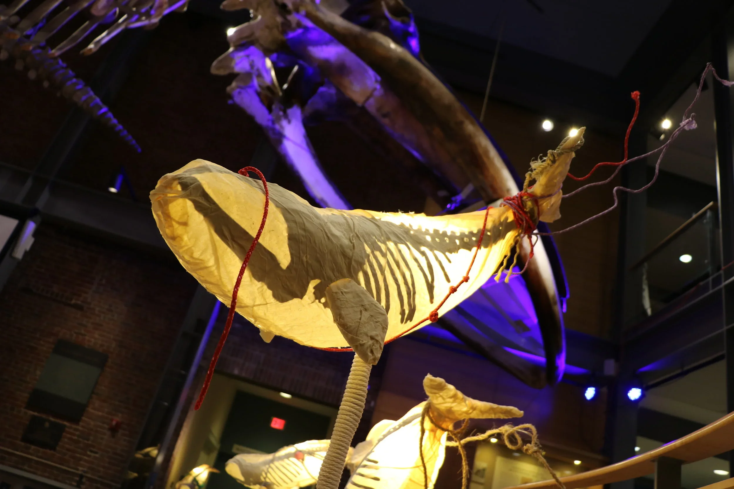 IMG_5210.JPG.webp