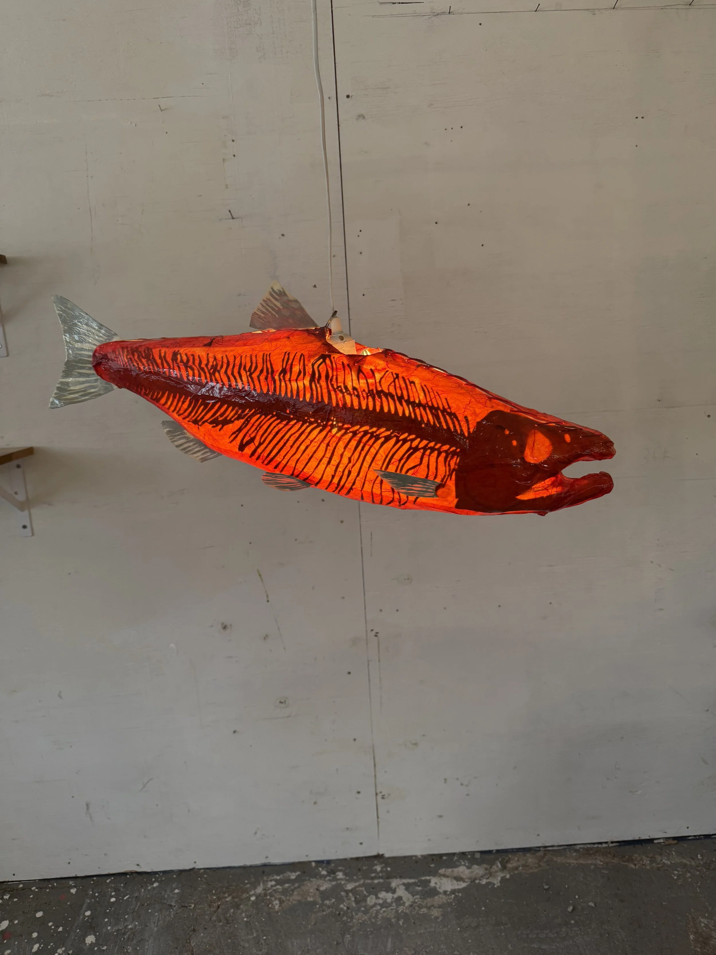 LOCAL PICKUP ONLY Red Salmon