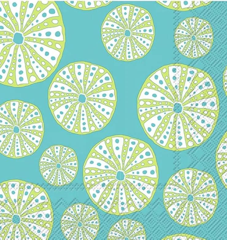 Turquoise Urchin.jpg (Copy)