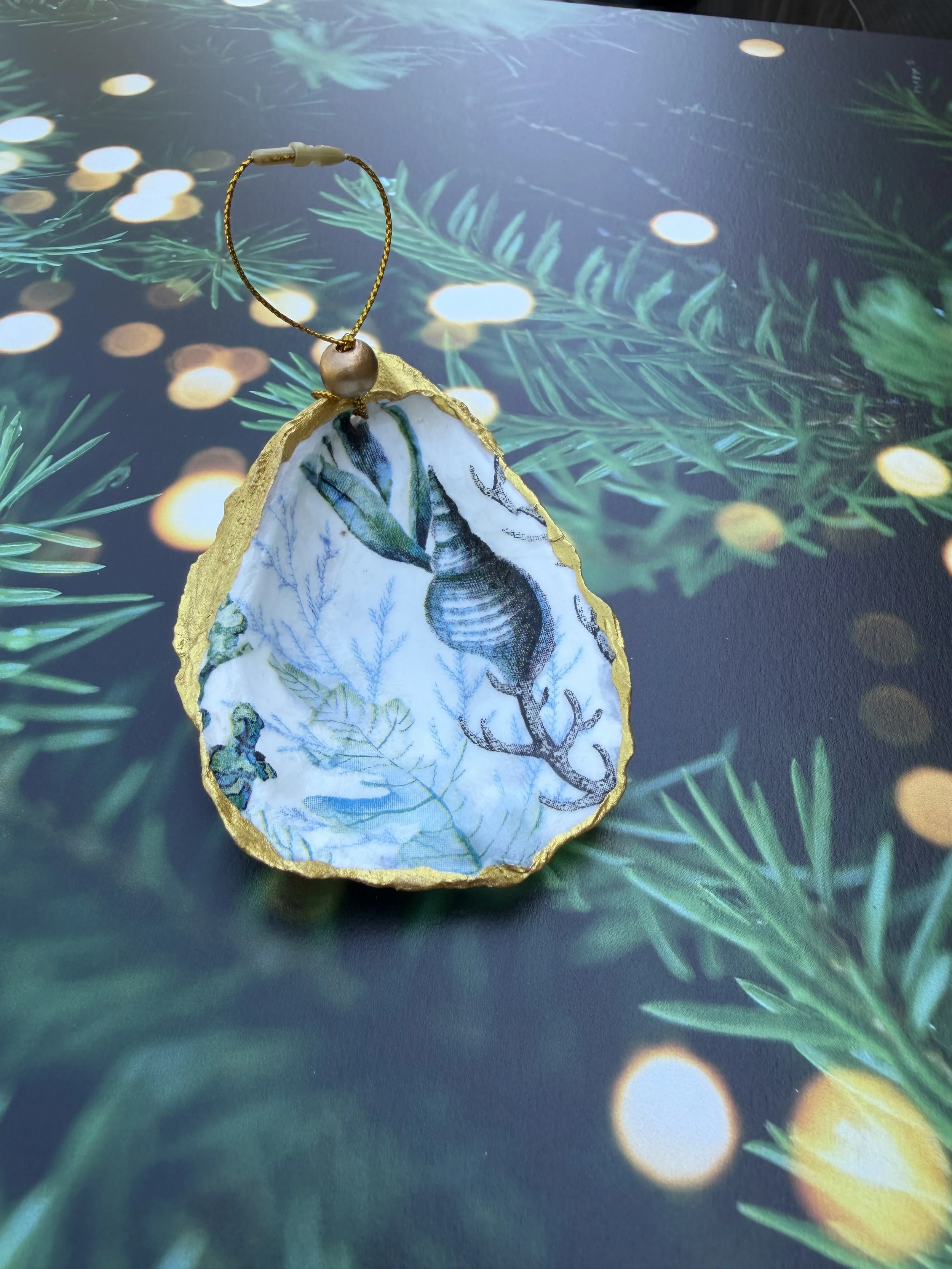 Shell Ornament