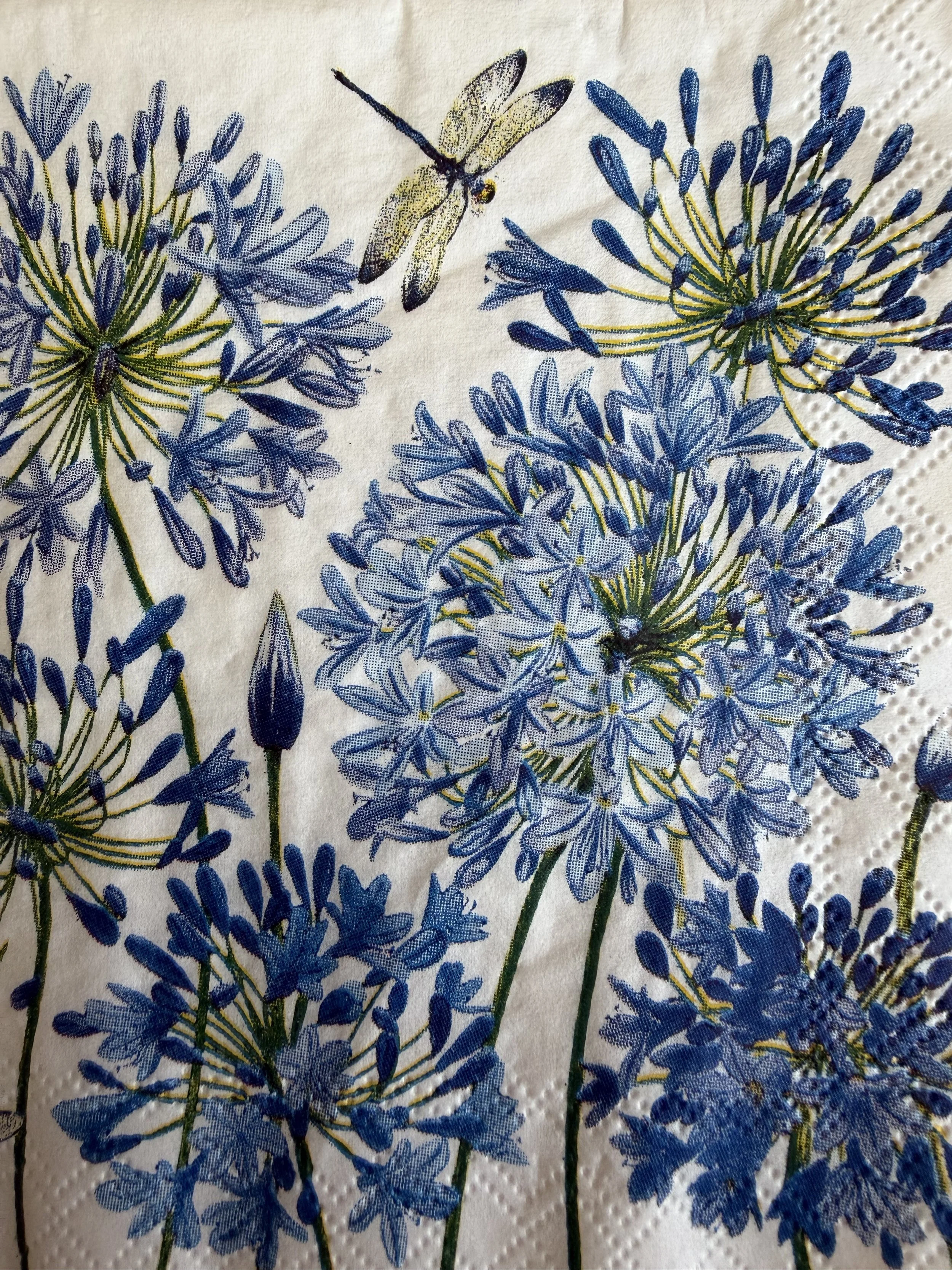Agapanthus.jpeg (Copy)