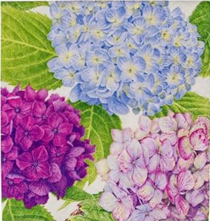Hydrangea Garden (Blue).jpg (Copy)