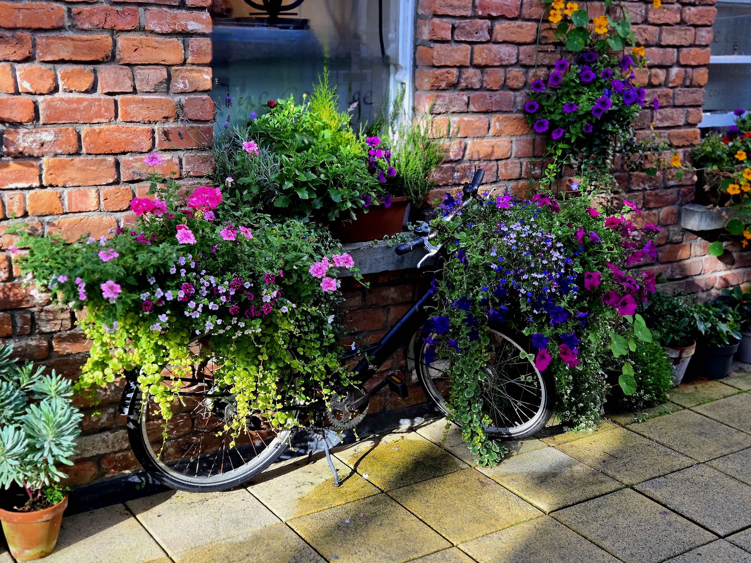 bikeflowers.jpg