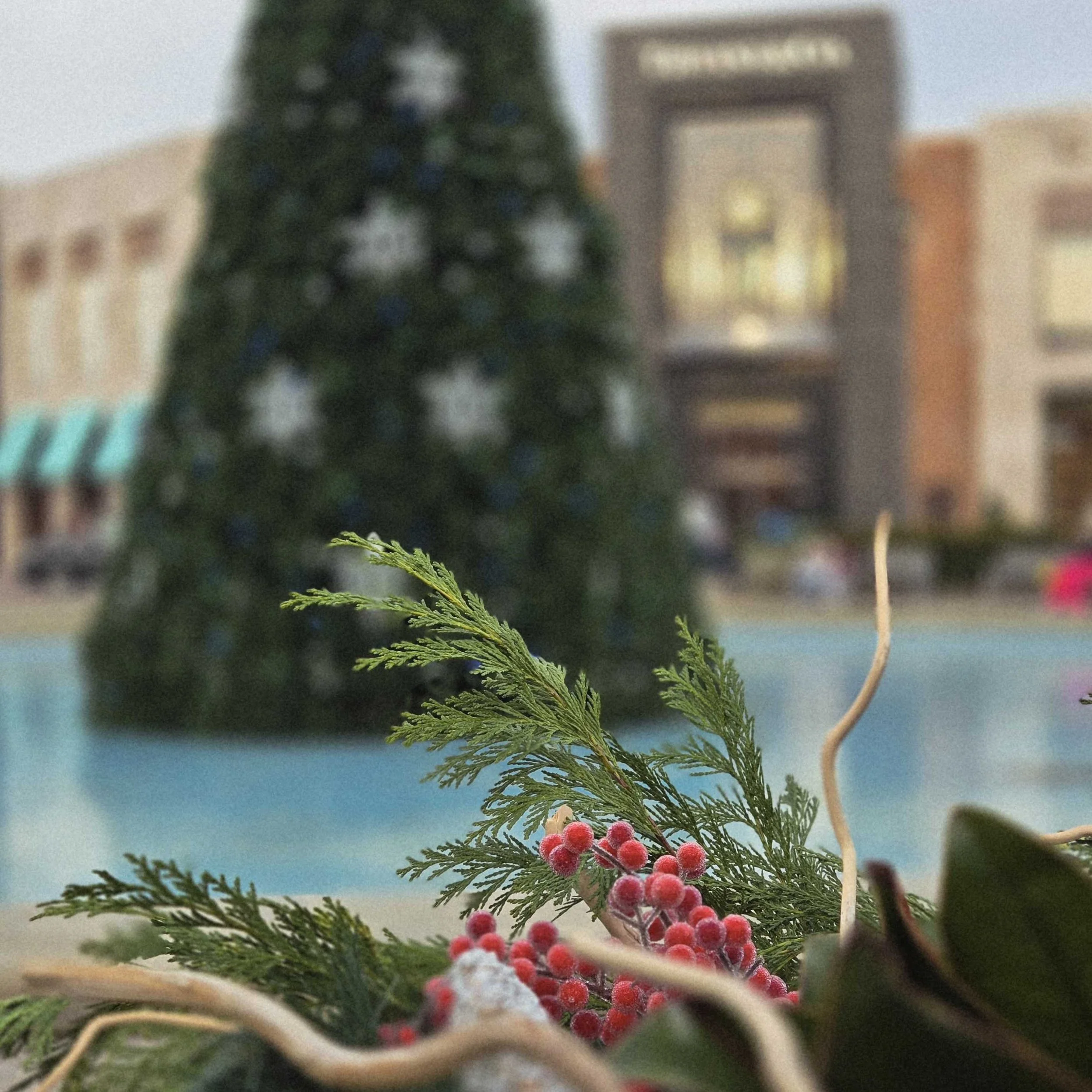 christmasheh.jpg