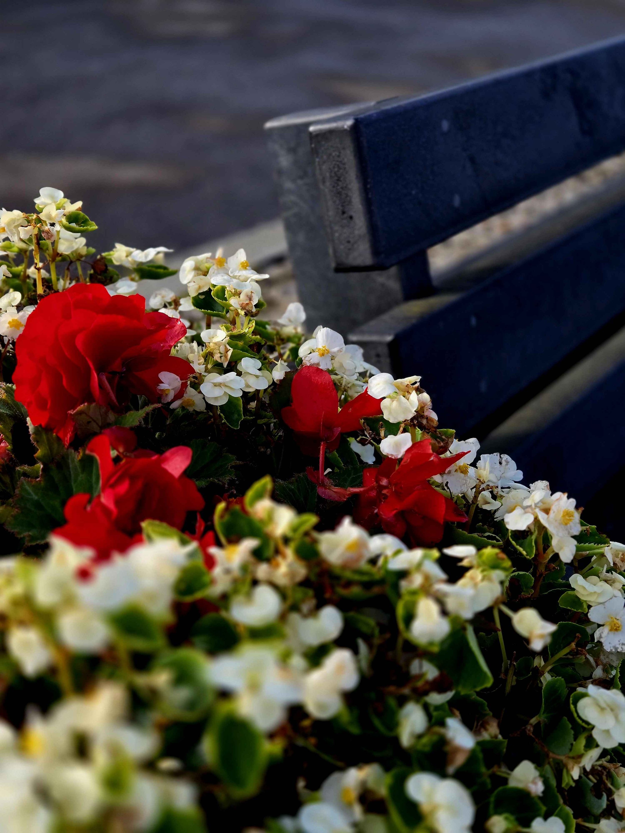 benchflower.jpg