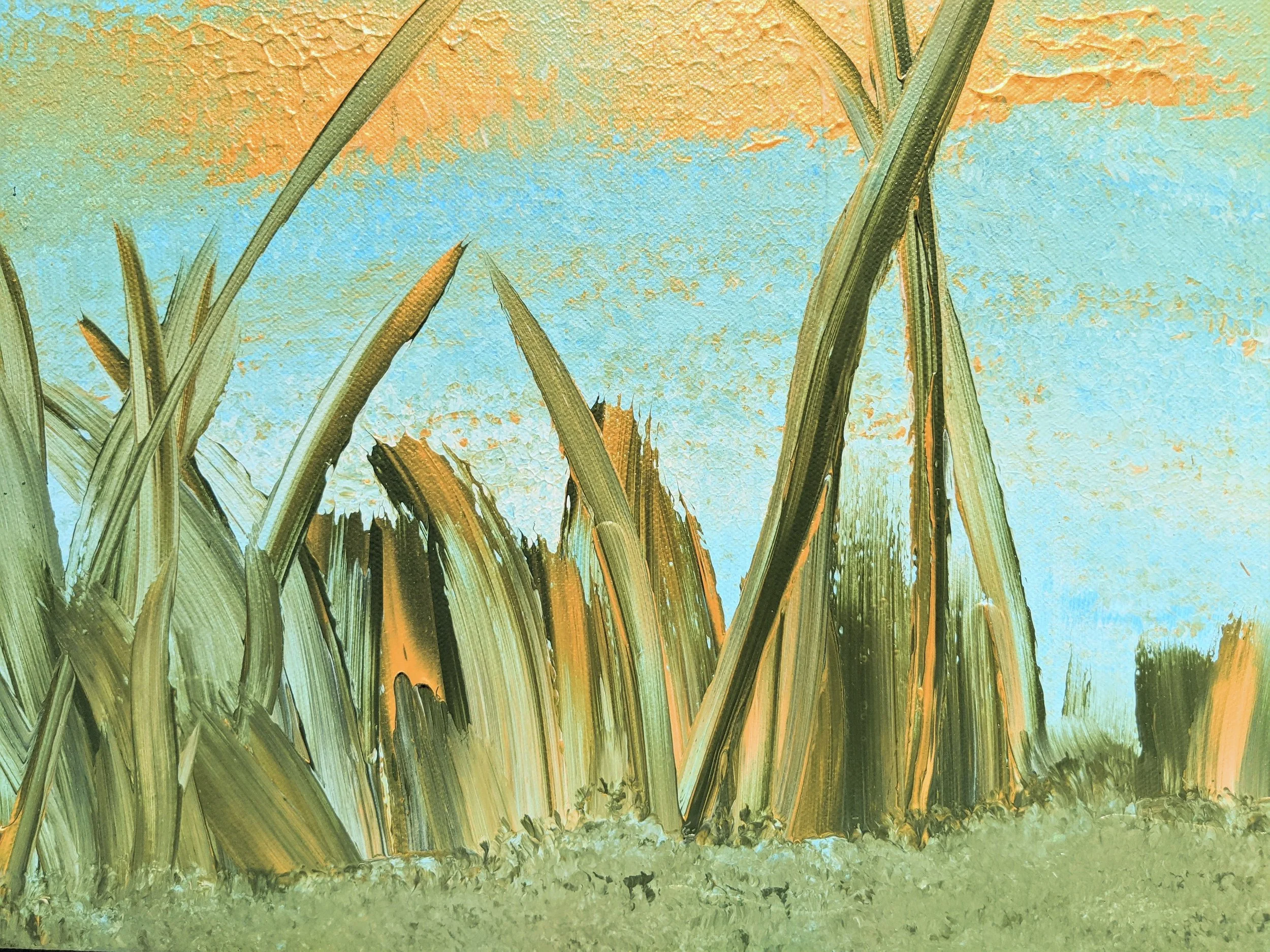 sa view from the sea bed 1.jpg