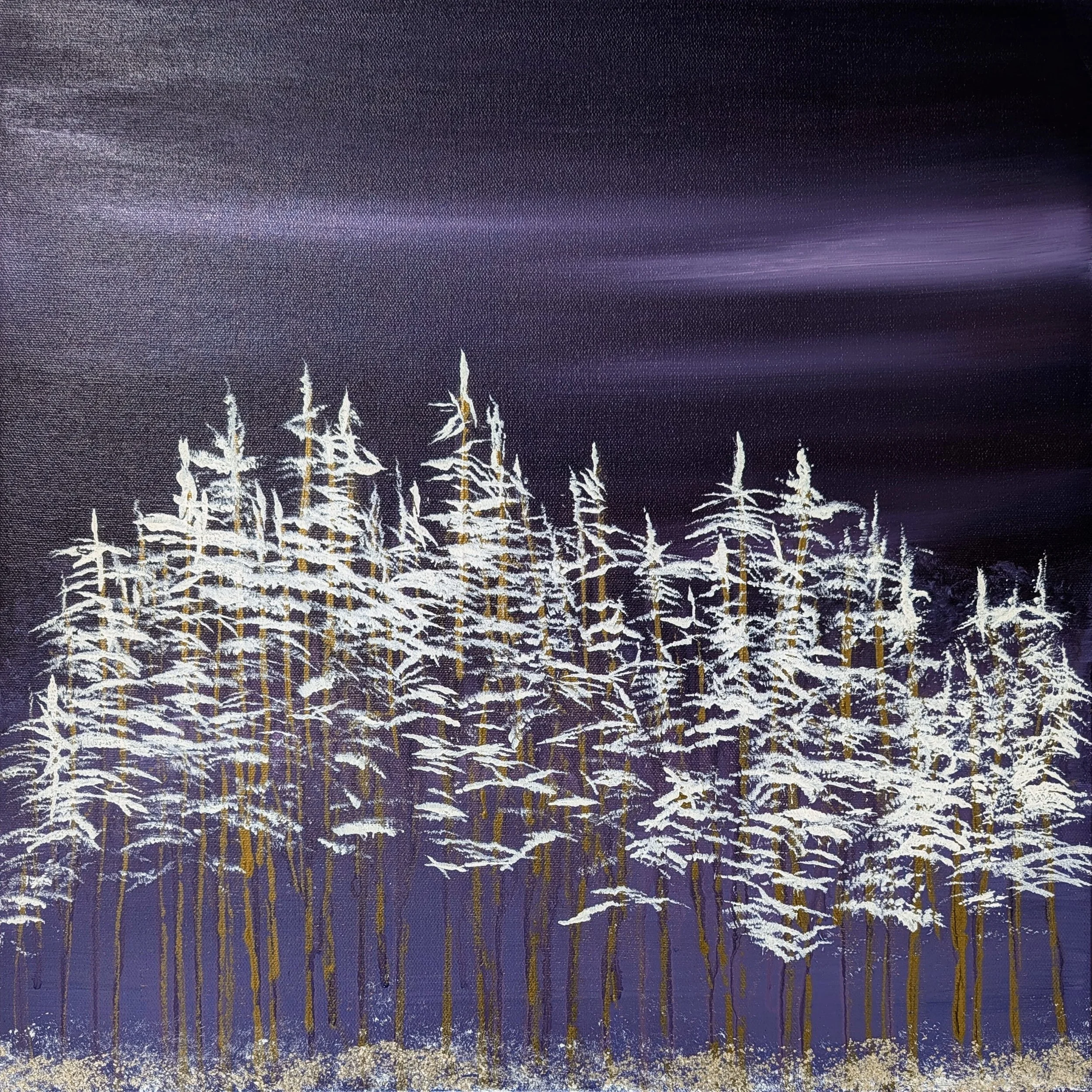 SA MOONLIGHT KISSED GROVE.jpg
