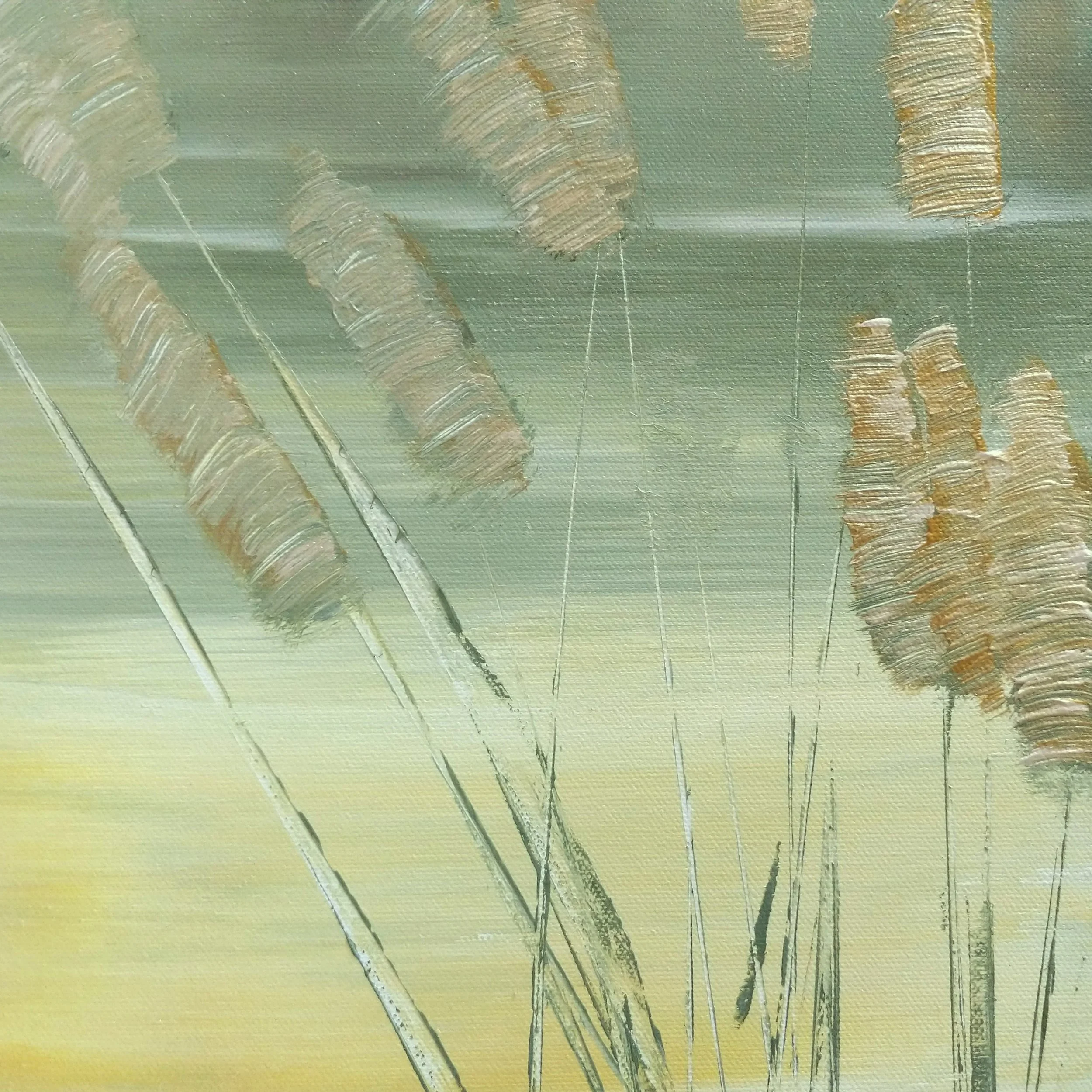 sa leaning on sunrise (2).jpg