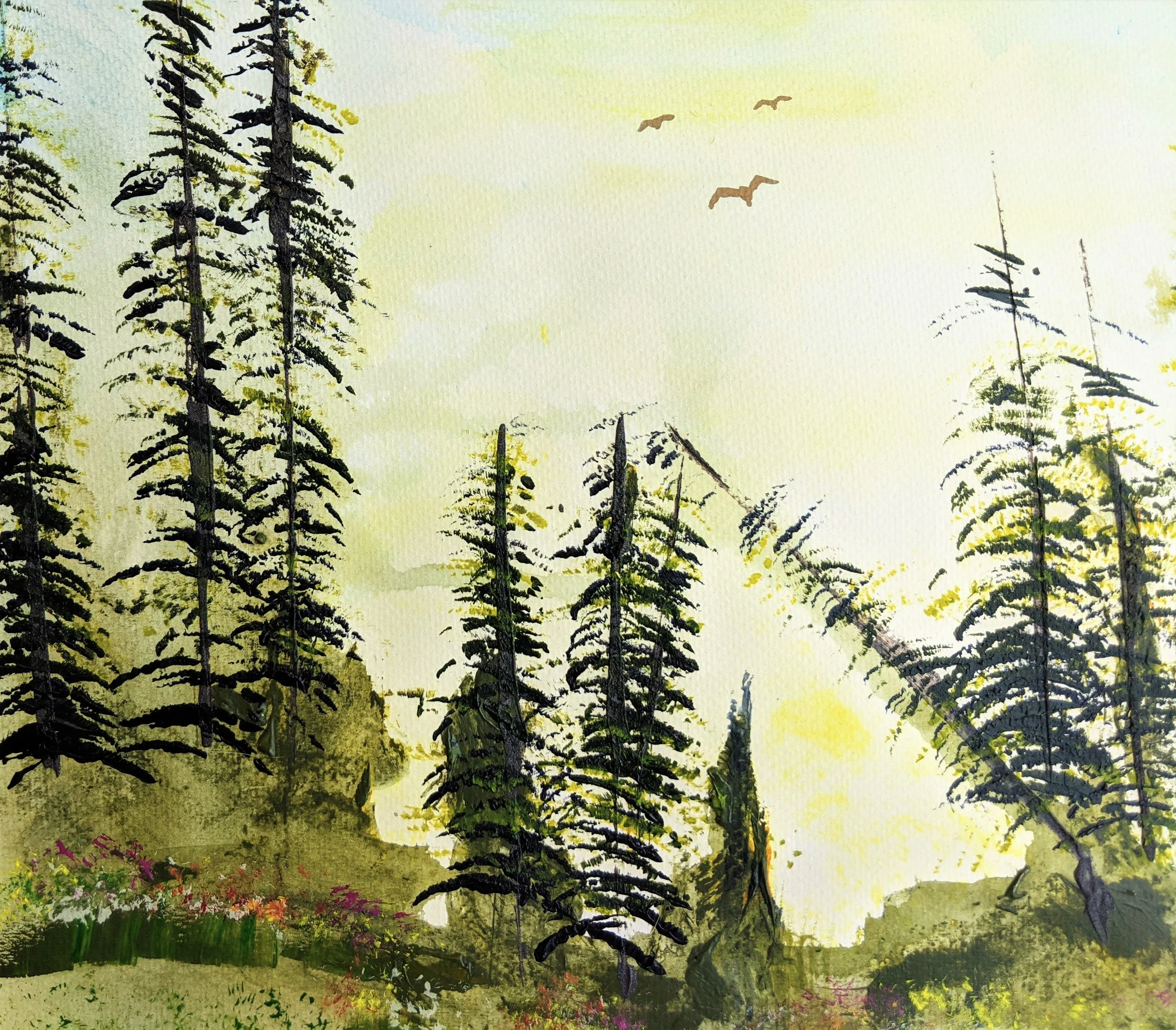 sa chasing the sun 2.jpg