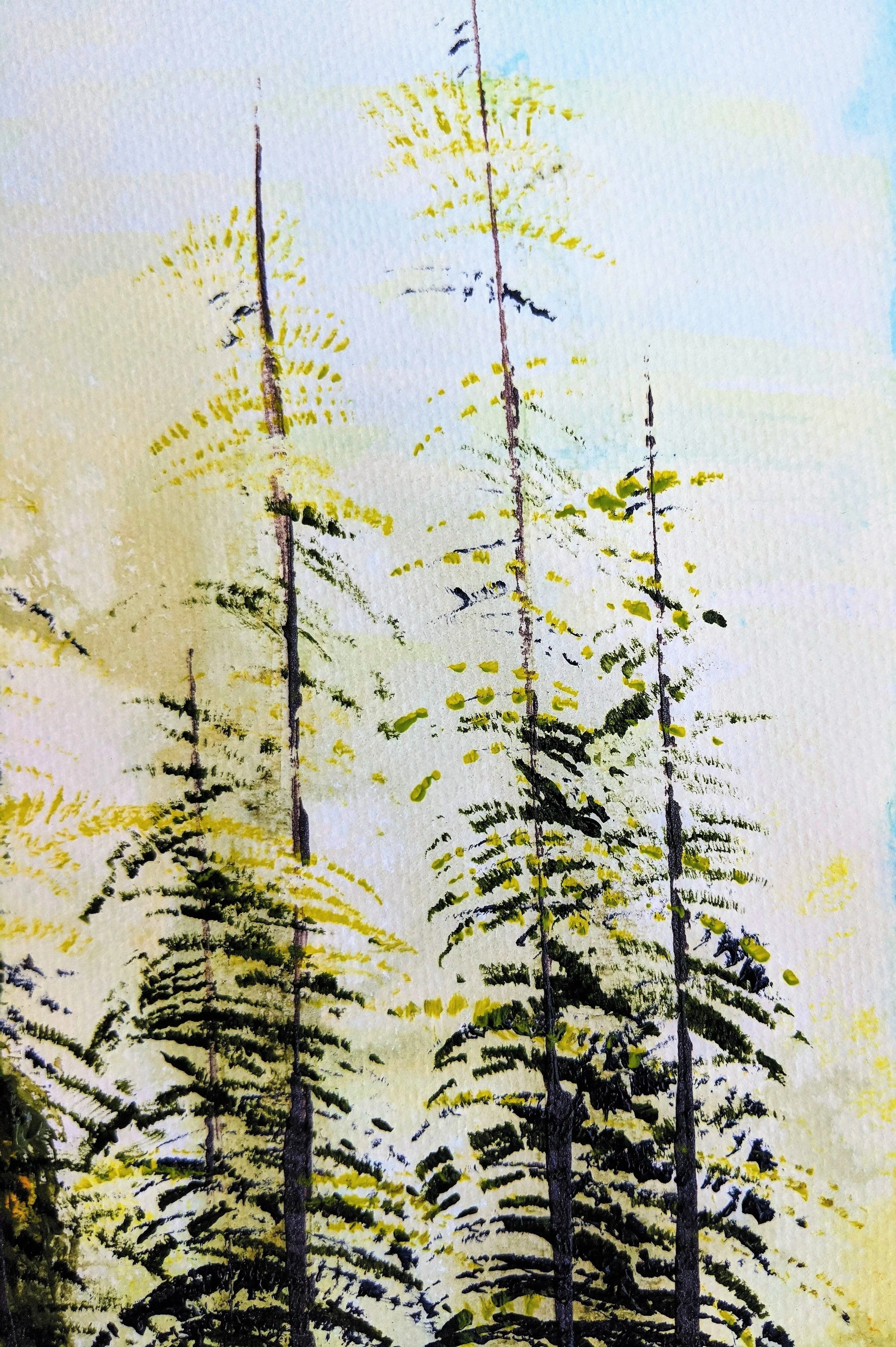 sa chasing the sun 1.jpg