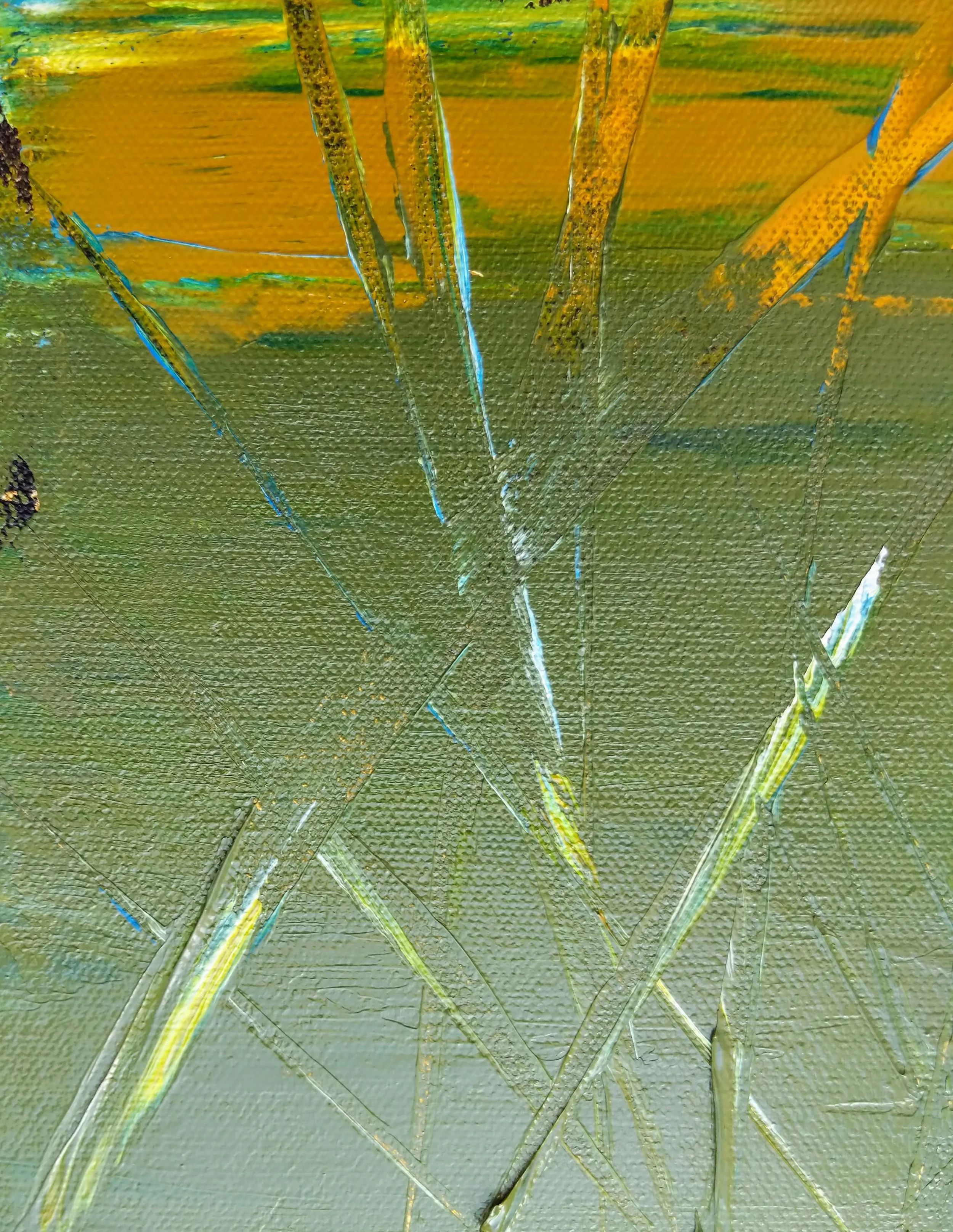 sa entanglement of light 5.jpg