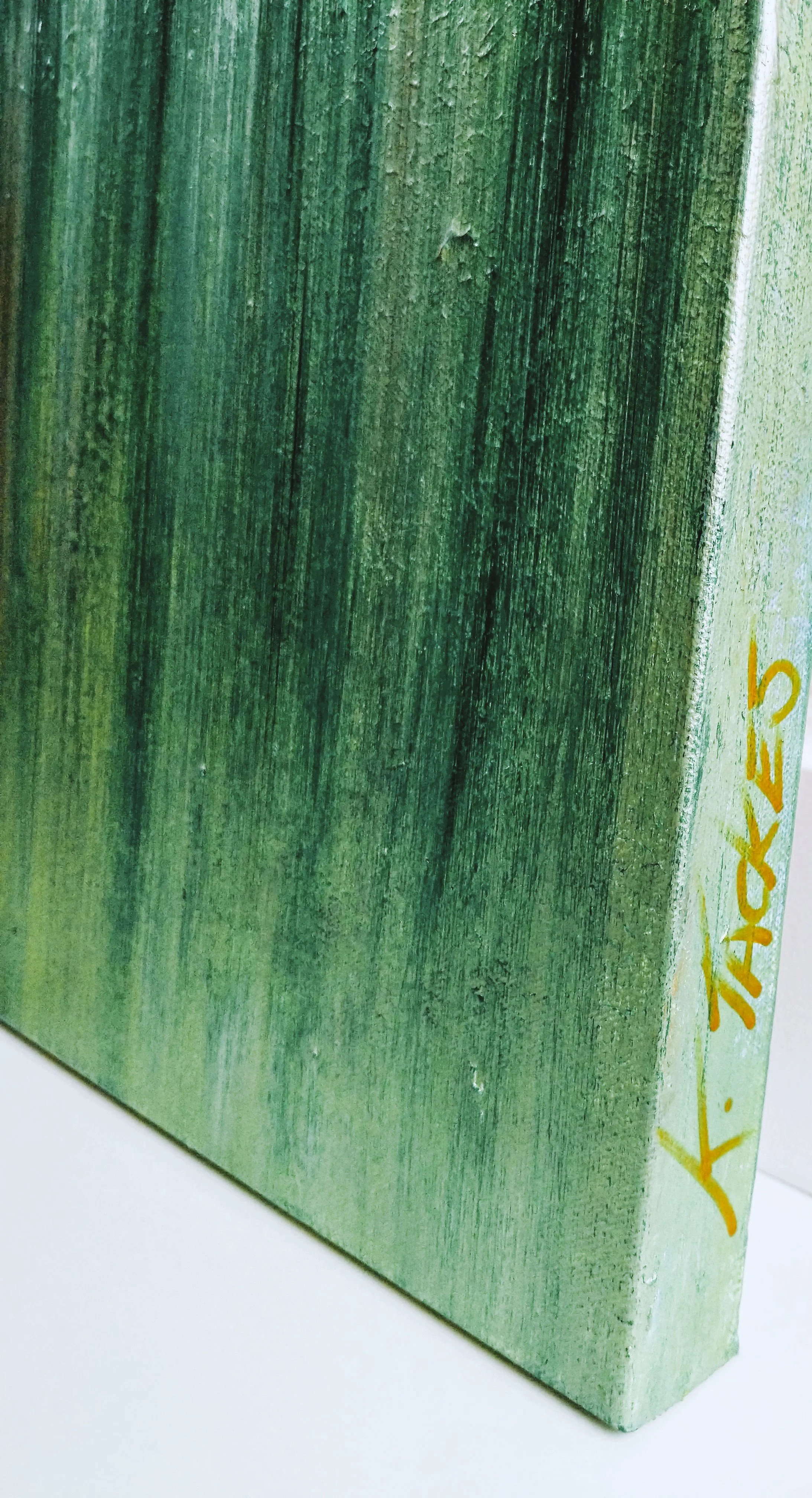 sa northern lights signature.jpg