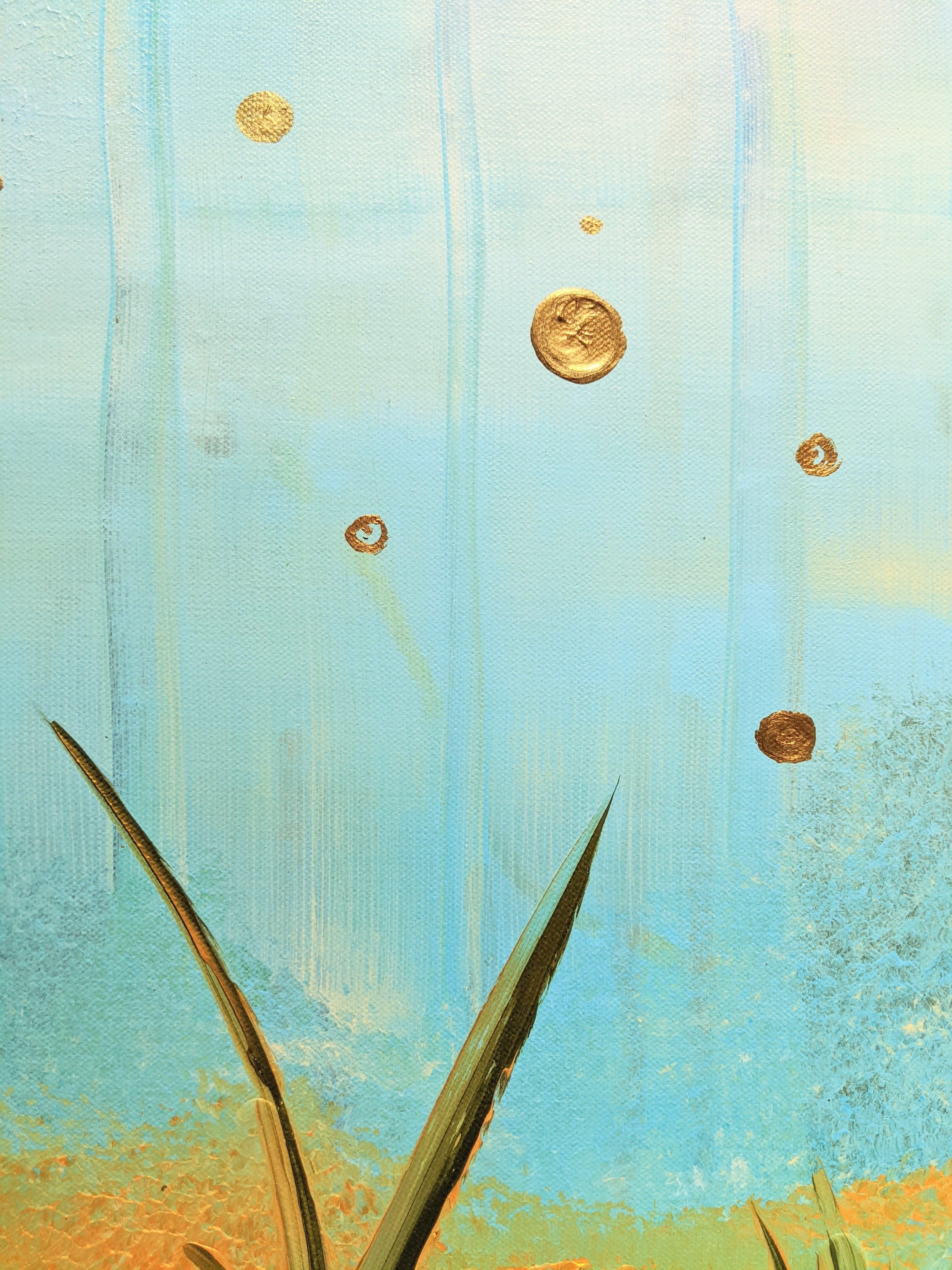 sa view from the sea bed 4.jpg