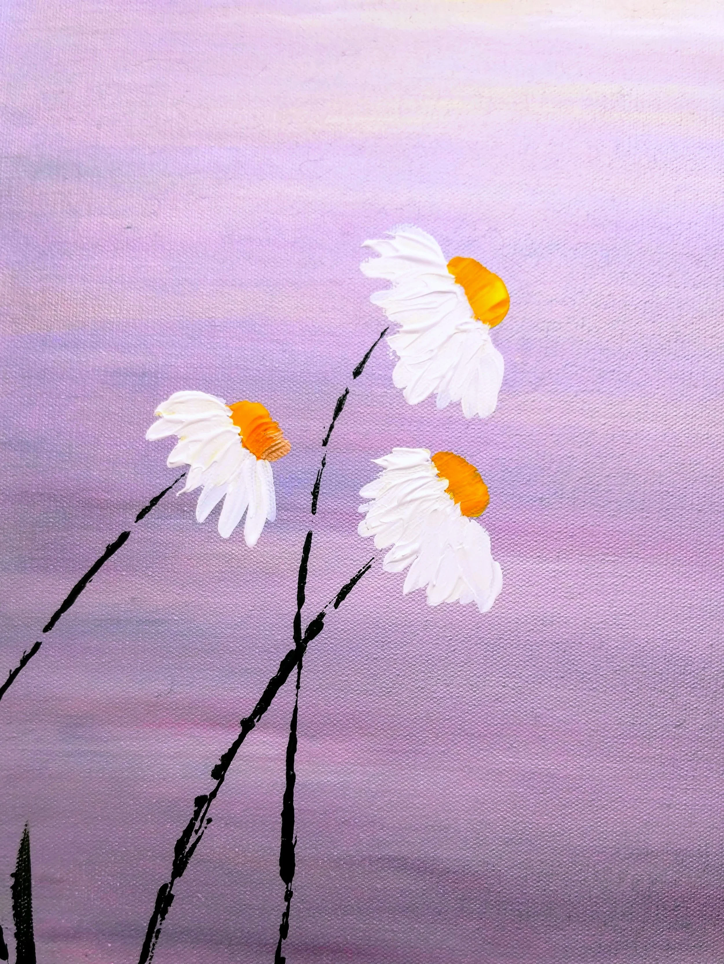 sa divinity of daisies 1.jpg