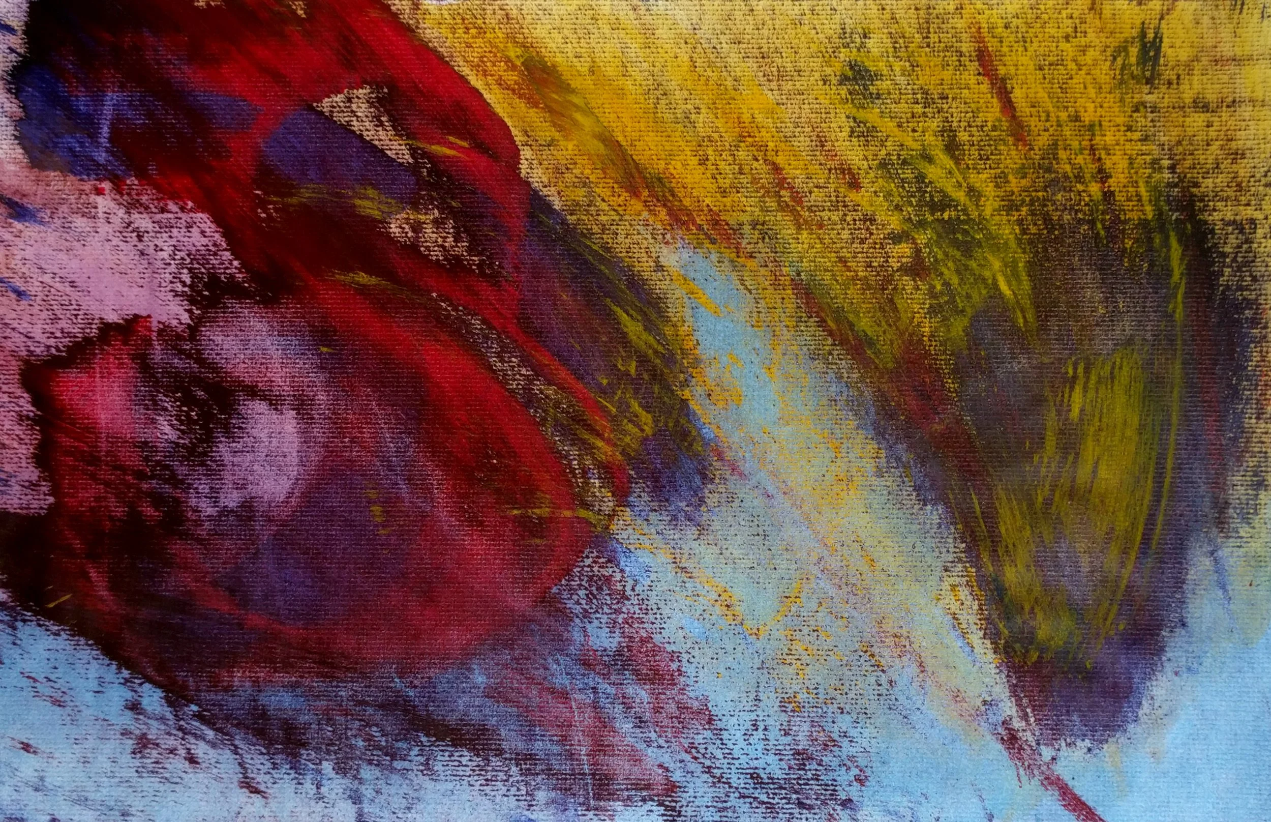 SA MAJESTIC MARSH.jpg