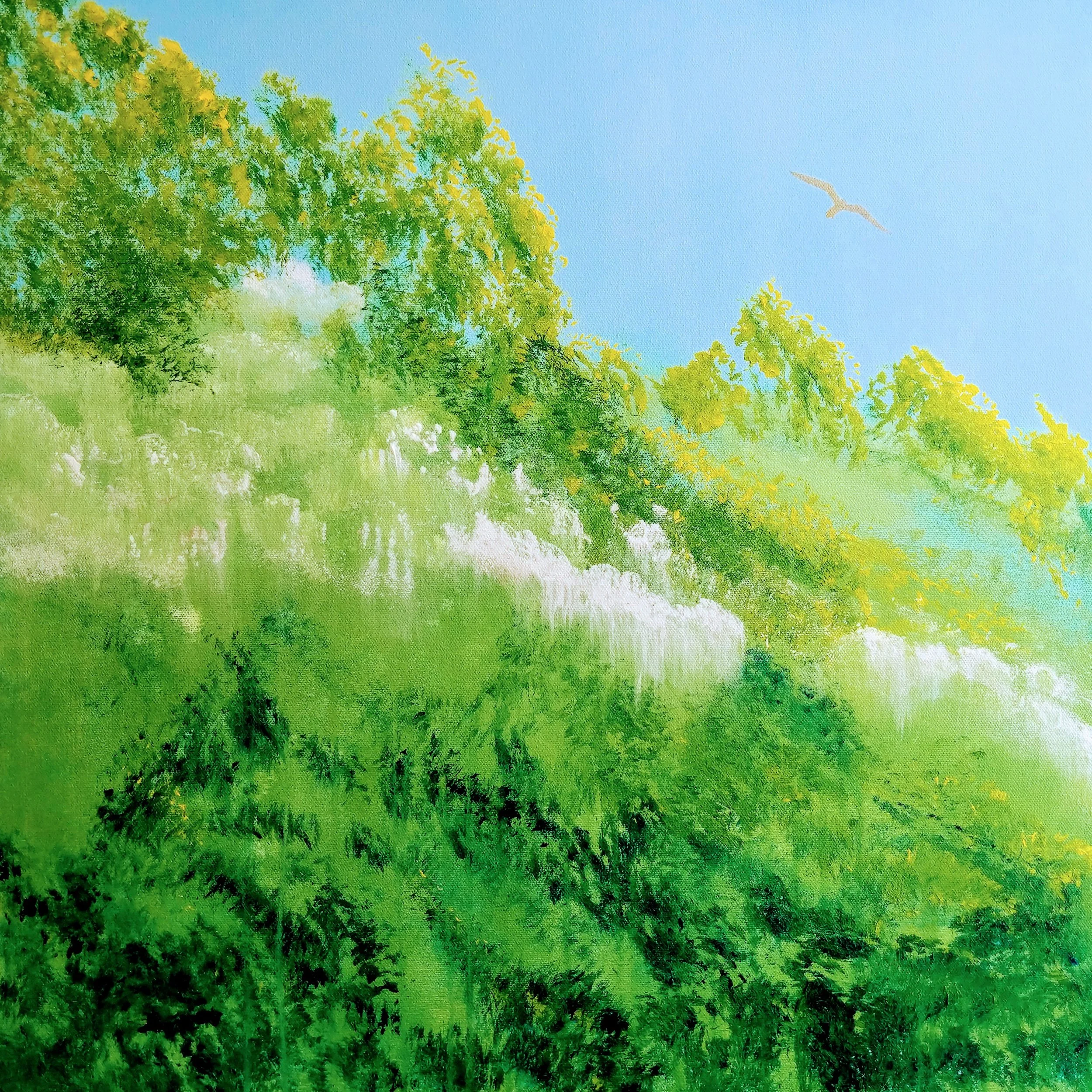 SA FLY ABOVE THE CLOUDS.jpg