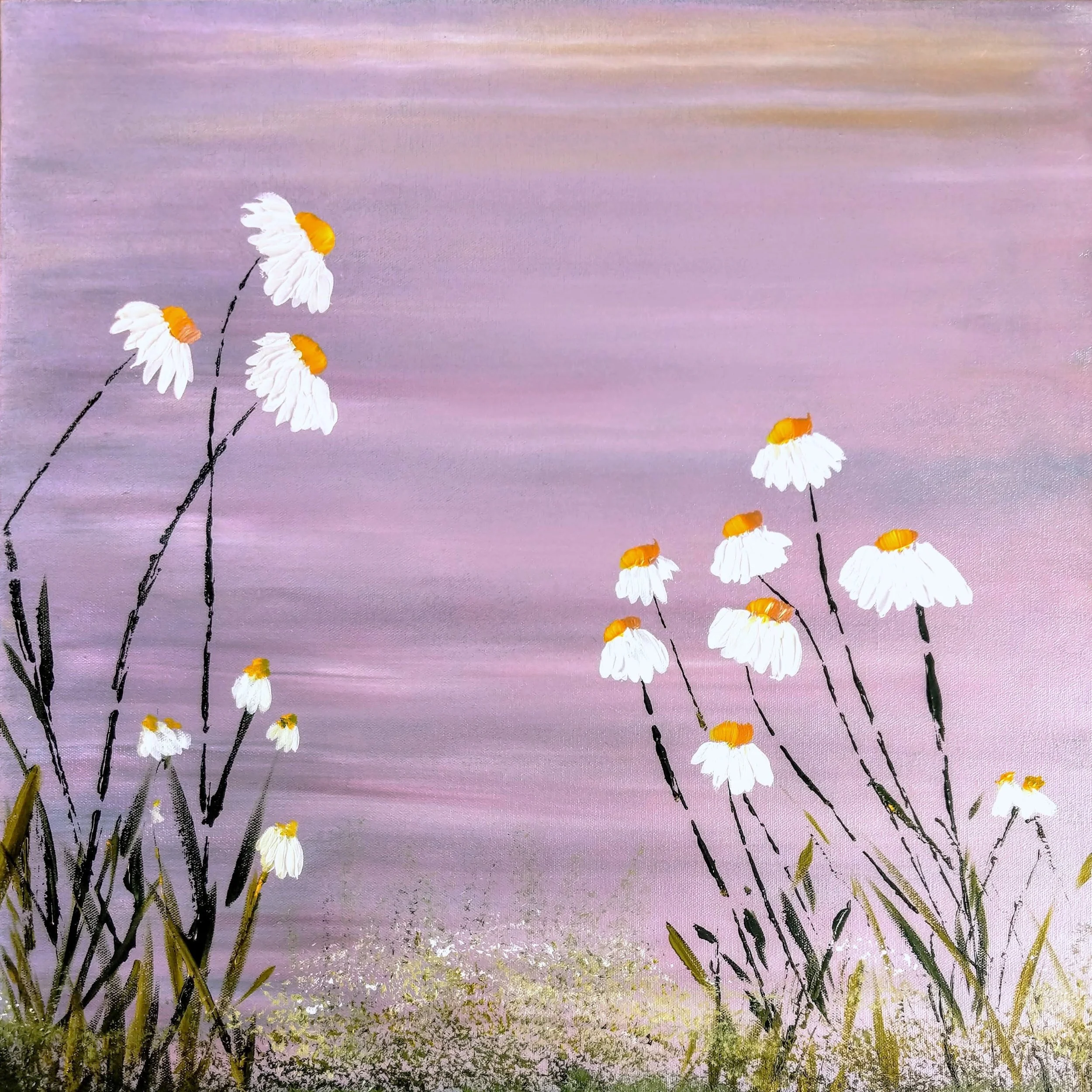 SA DIVINITY OF DAISIES.jpg