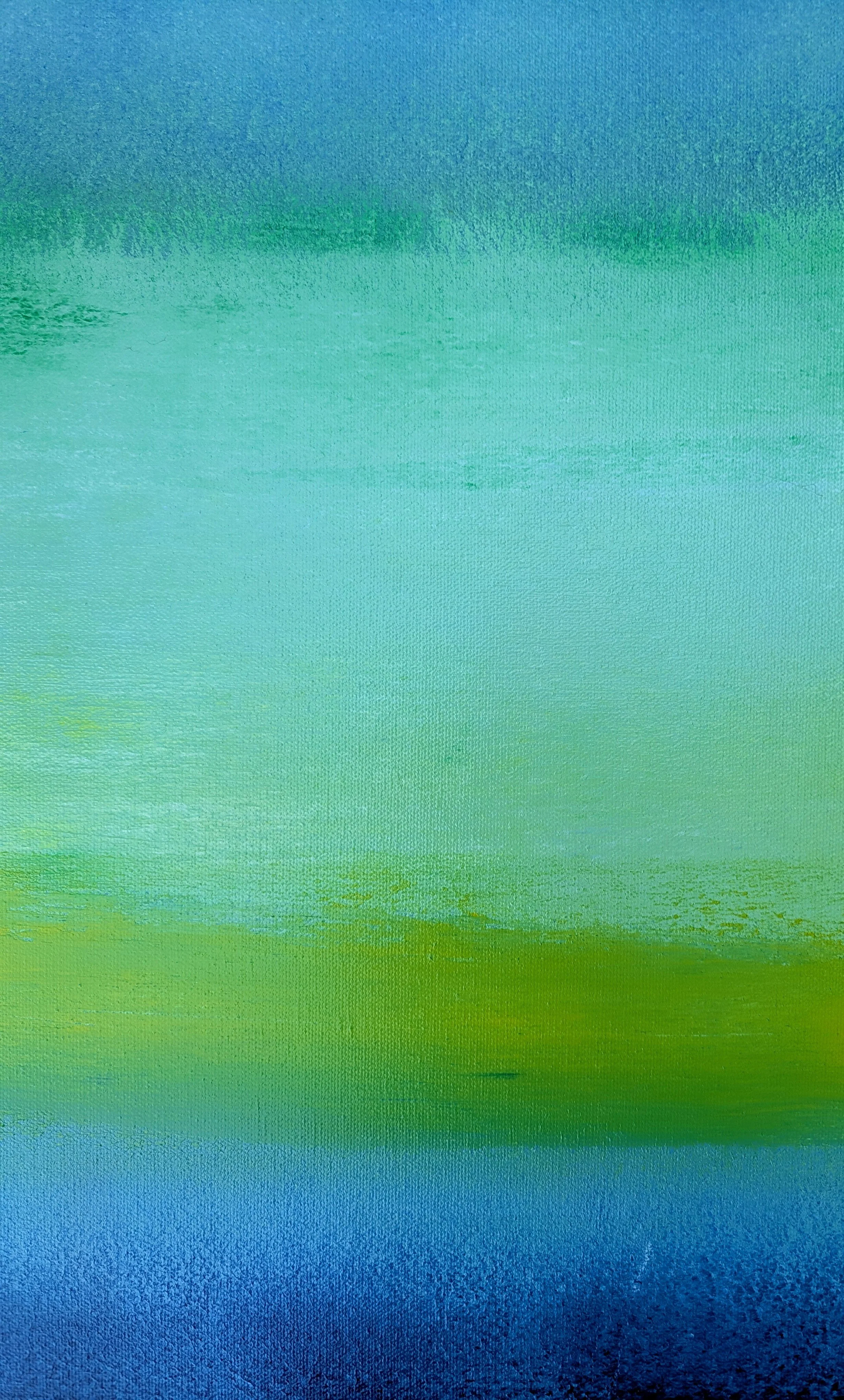 sa did you see the green flash 3.jpg