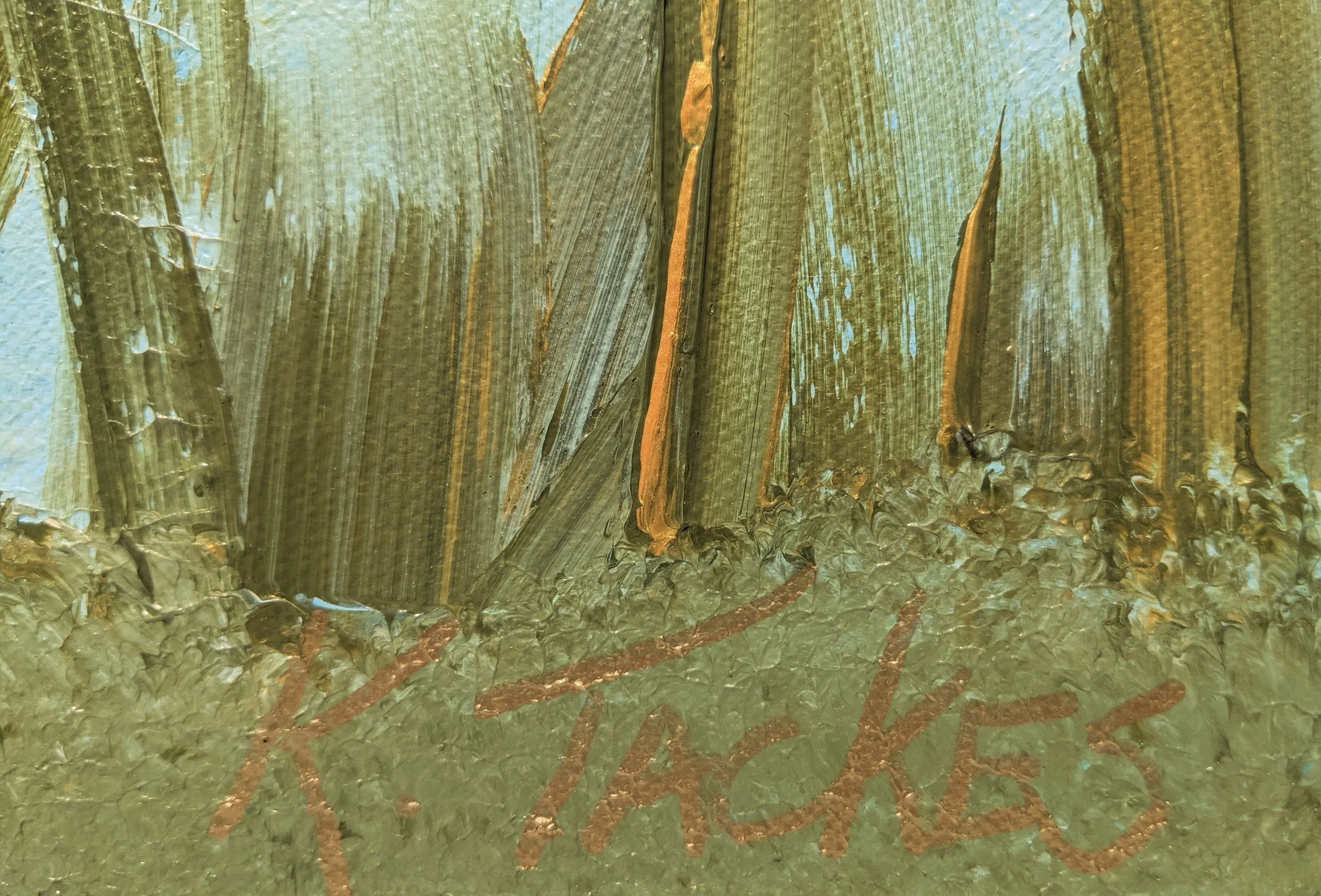 sa view from the sea bed 3.jpg