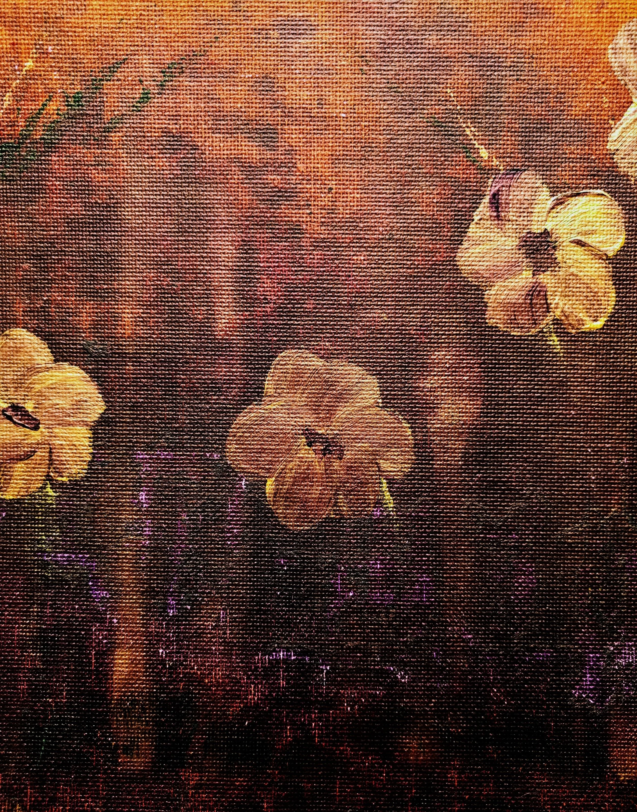 sa welcoming dusk 5.jpg