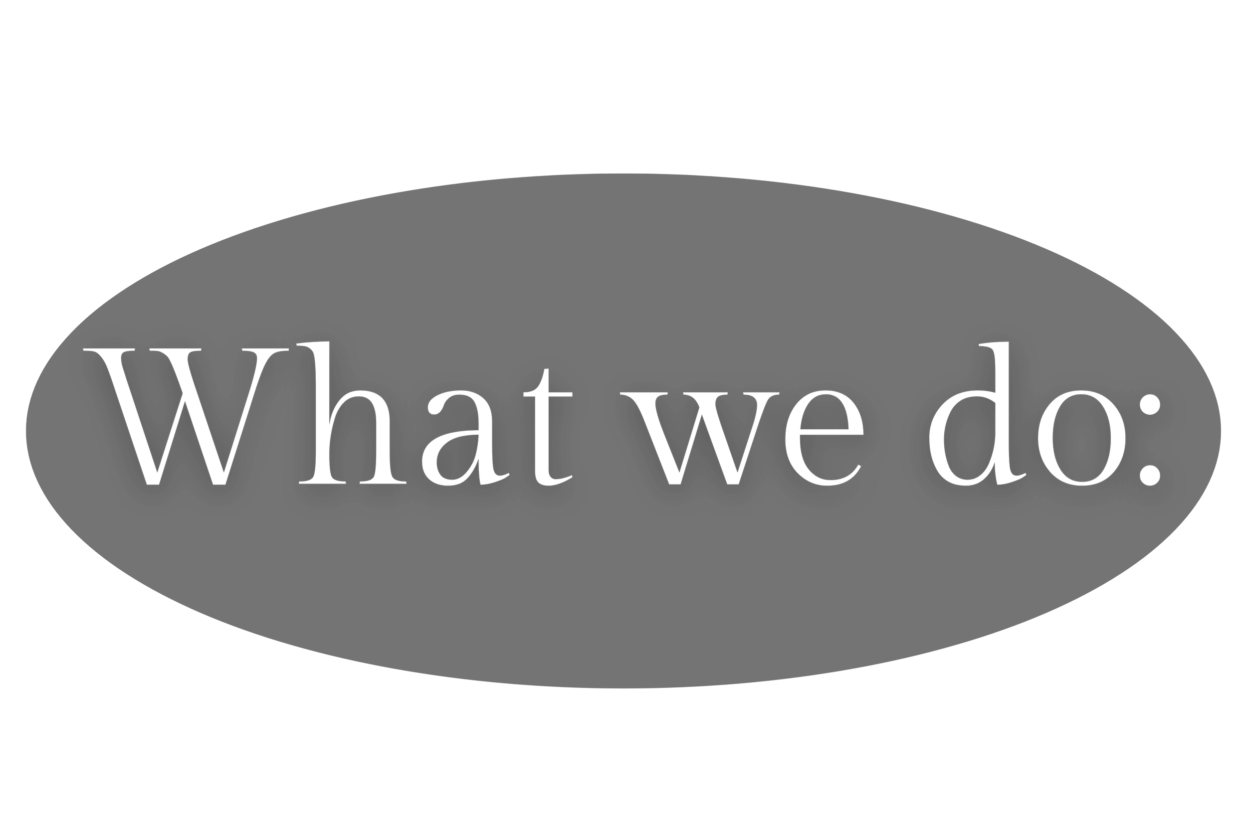 Black background with large white text that reads 'What we do:'