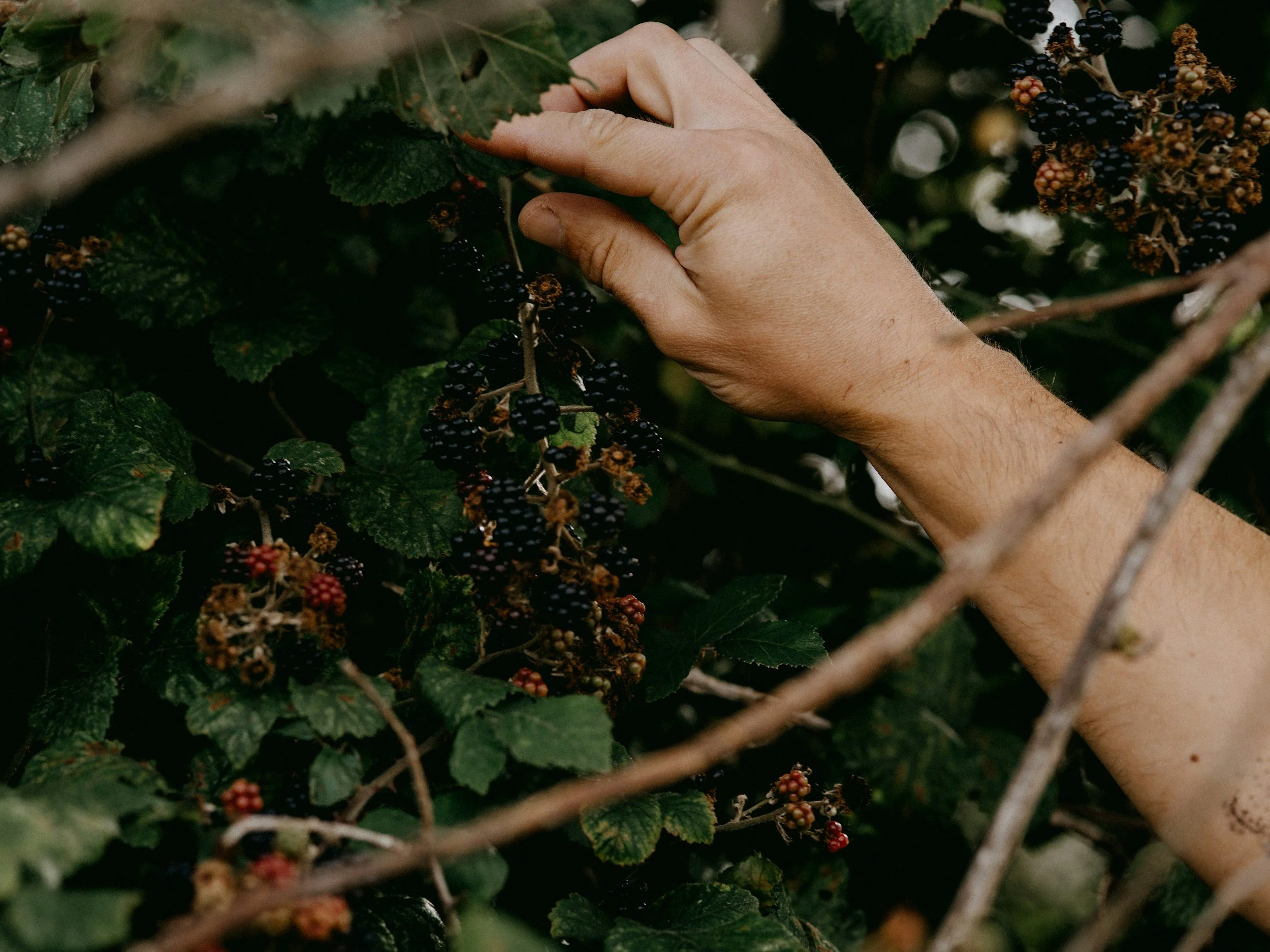 Foraging Class