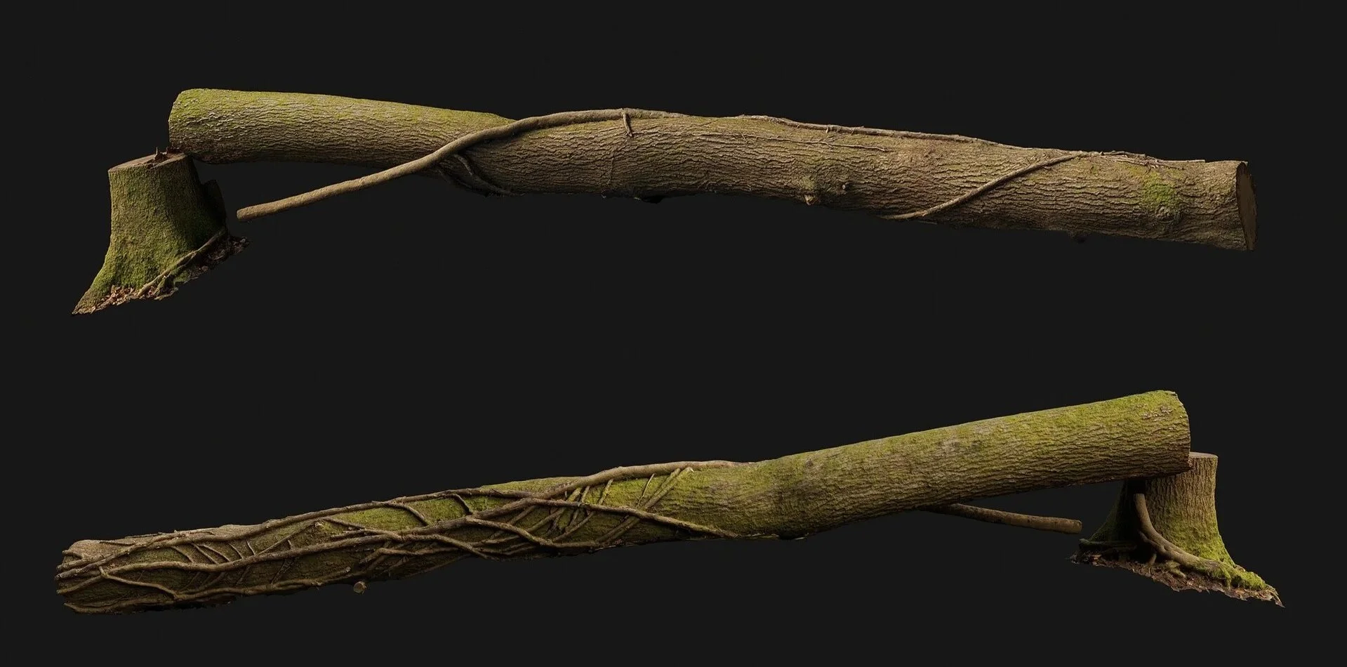 Two fallen tree branches with vines and moss on a black background.