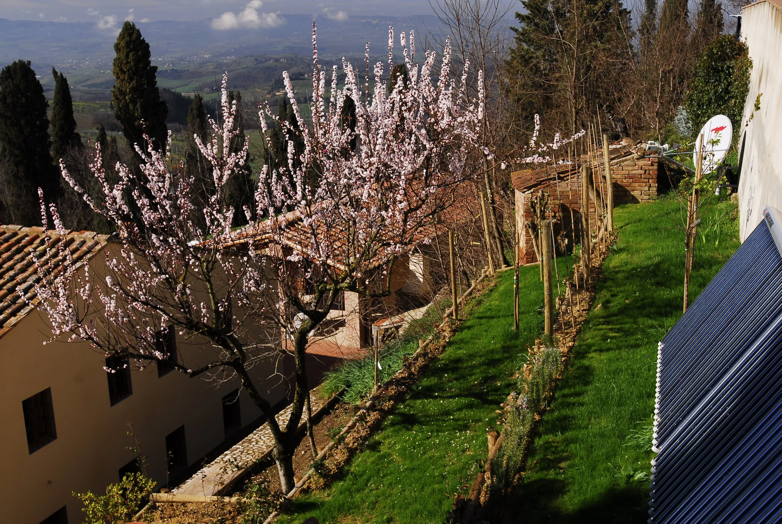 Garden Solar Panels Parabola.jpg
