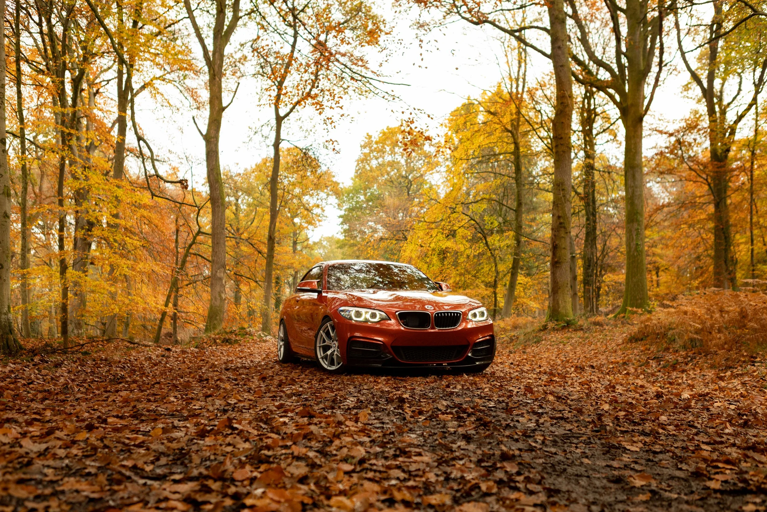7F1A4022.jpg
