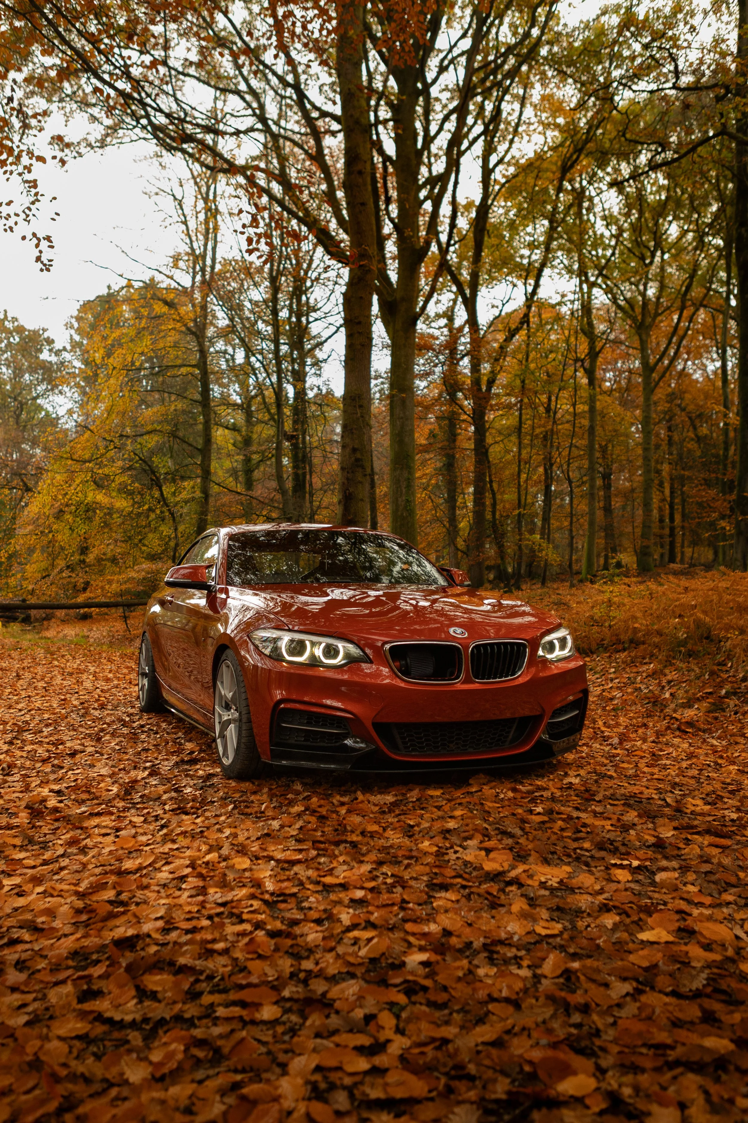 7F1A3939.jpg