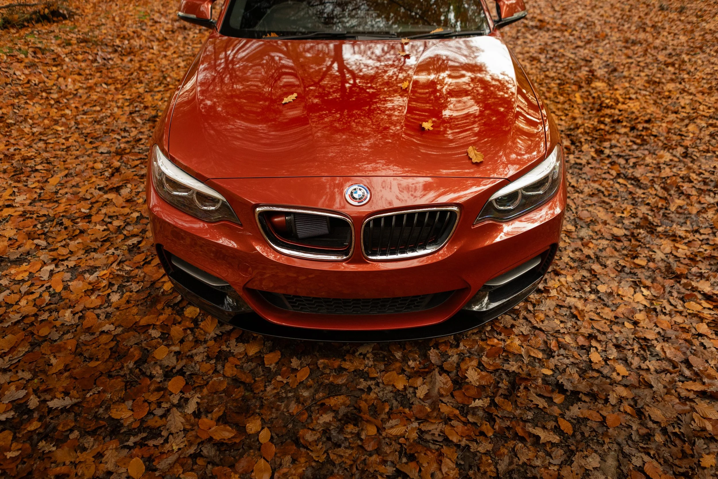 7F1A4123.jpg
