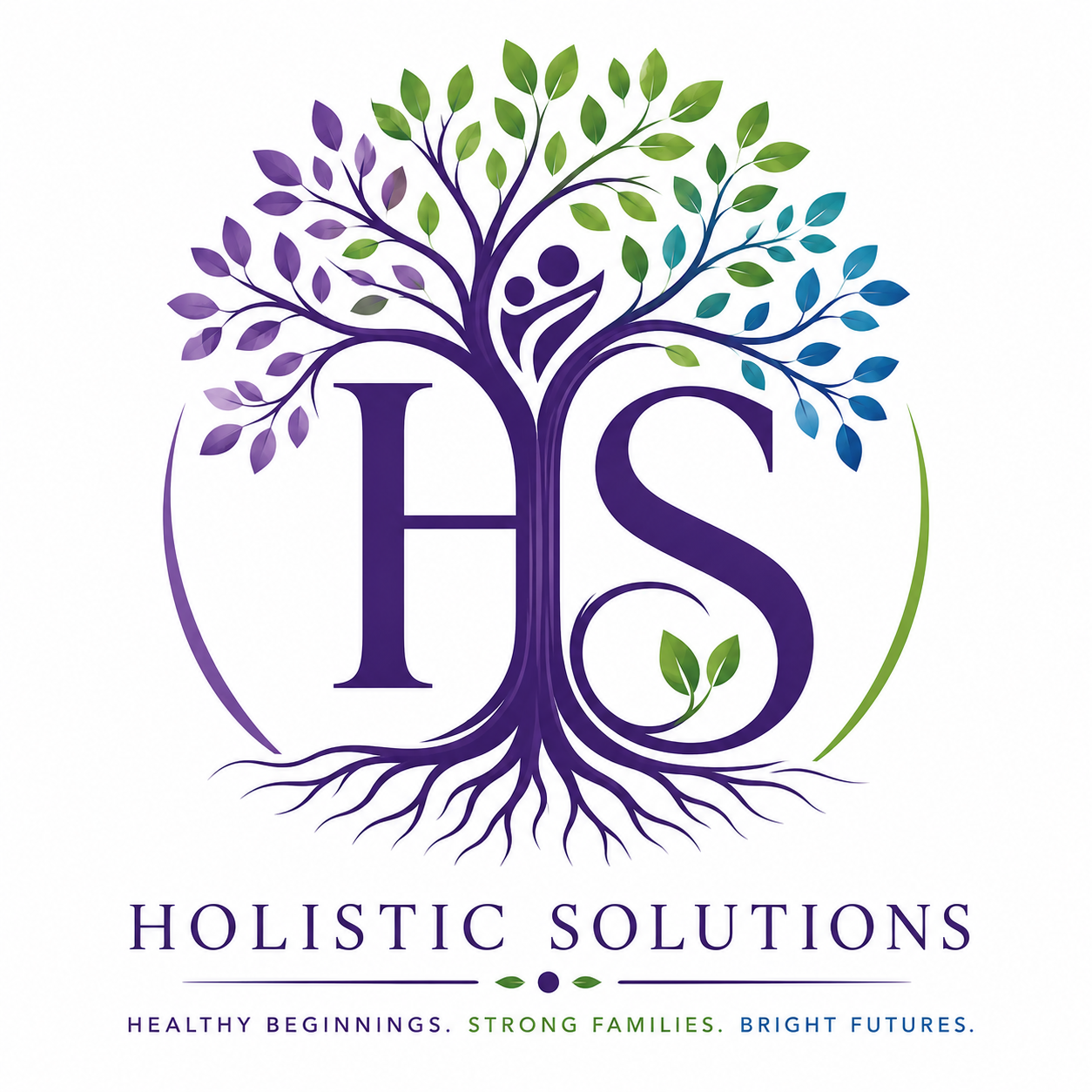 HOLISTIC SOLUTIONS