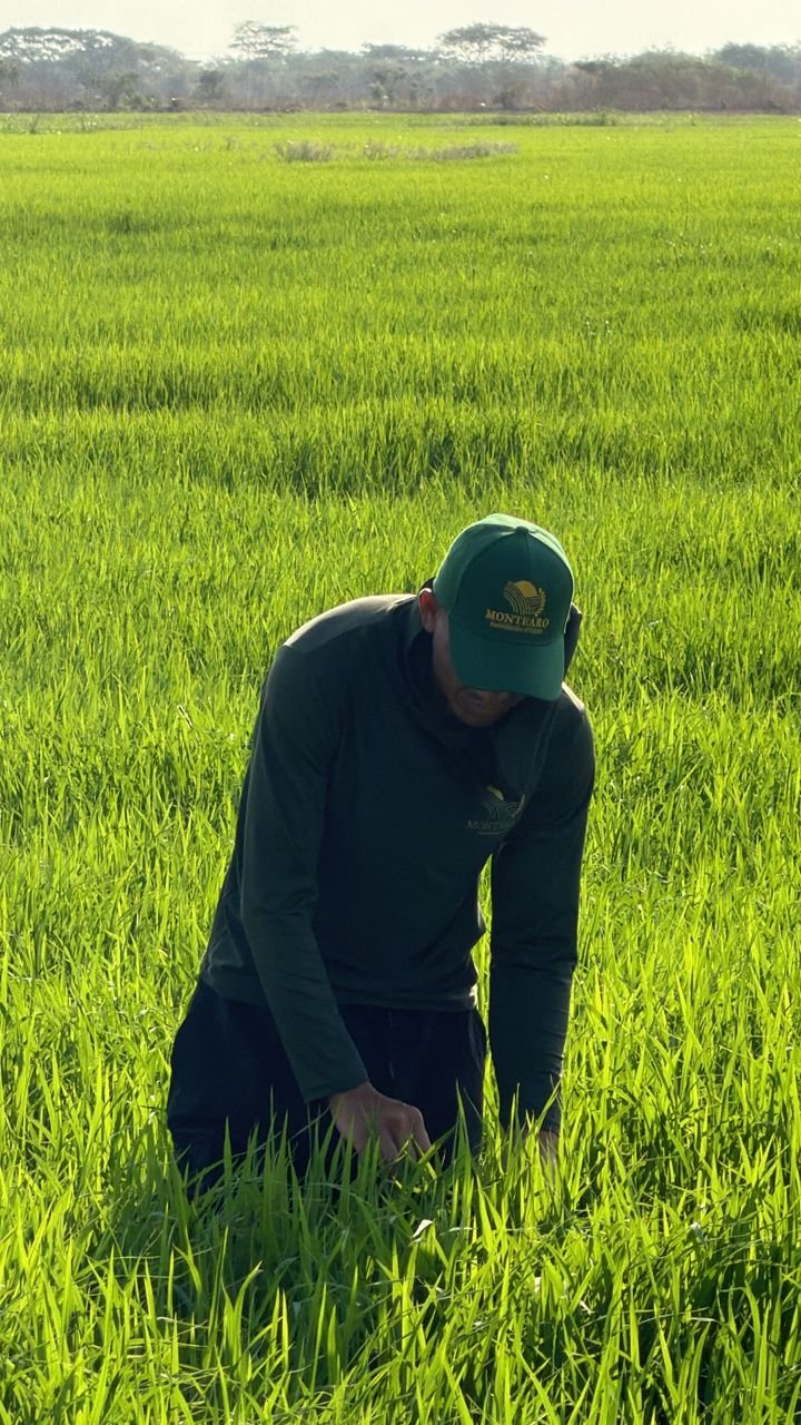 WhatsApp Image 2026-03-25 at 8.19.56 AM.jpeg