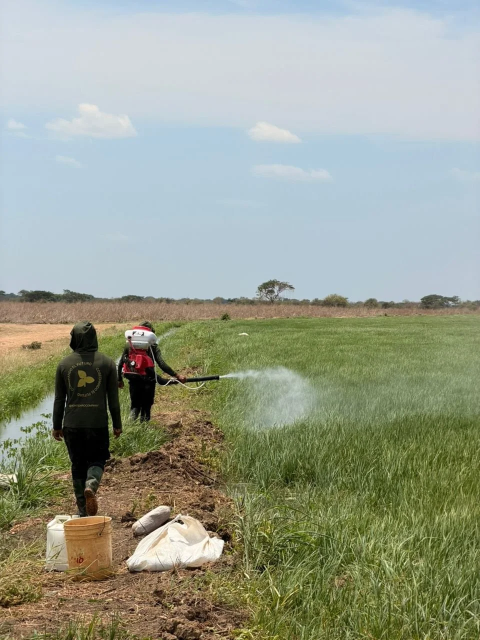 WhatsApp Image 2026-03-20 at 12.21.29 PM.jpeg