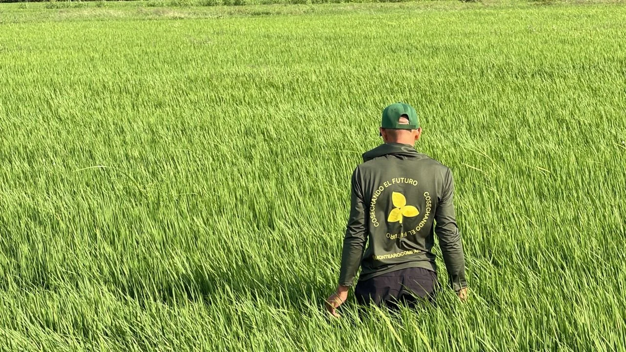 WhatsApp Image 2026-03-25 at 8.52.49 AM.jpeg