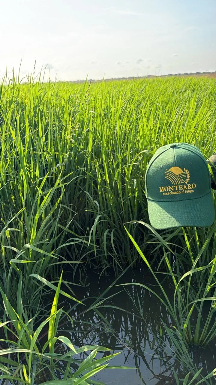 WhatsApp Image 2026-03-25 at 8.17.36 AM.jpeg