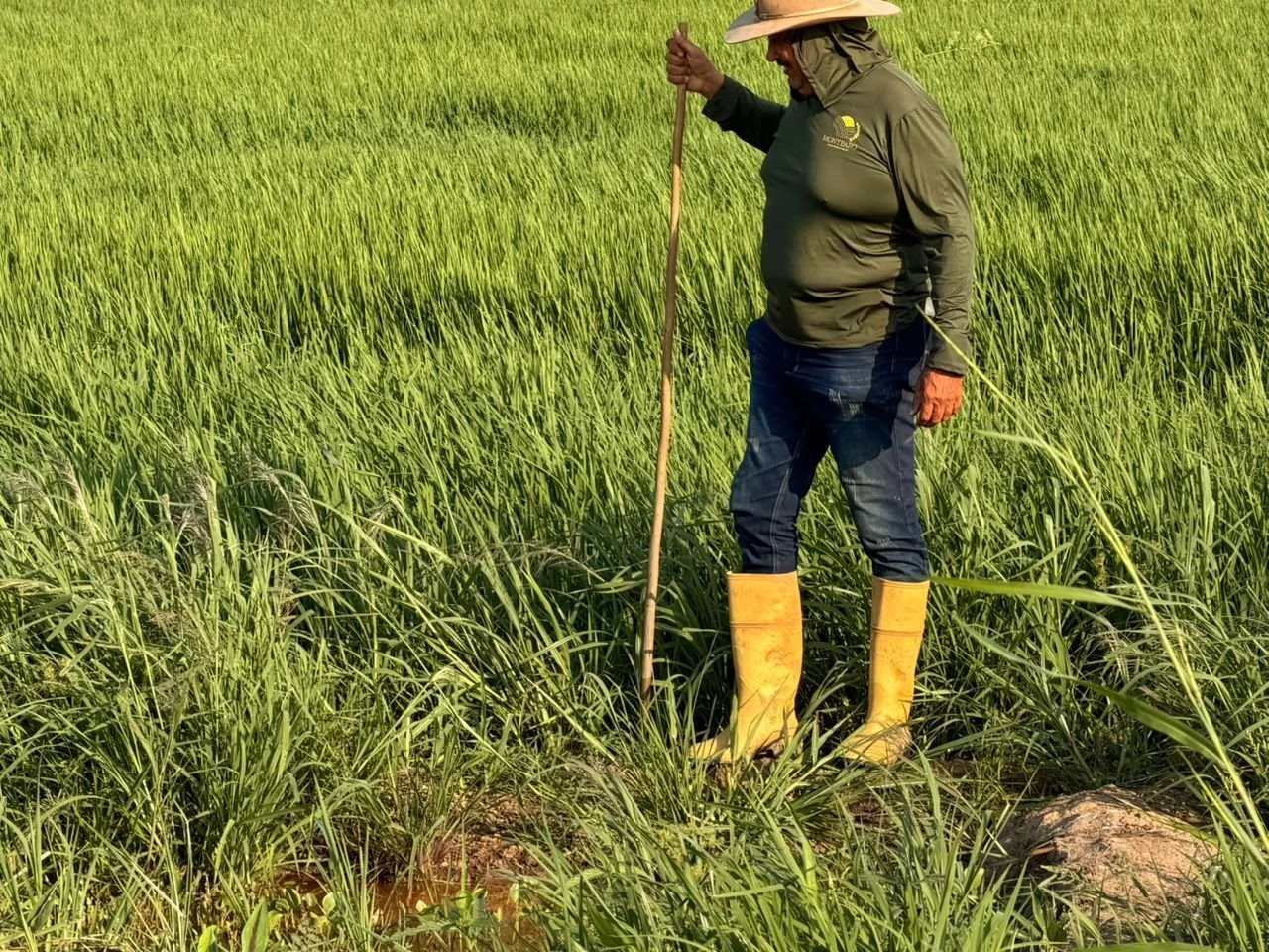 WhatsApp Image 2026-03-25 at 8.10.32 AM (1).jpeg