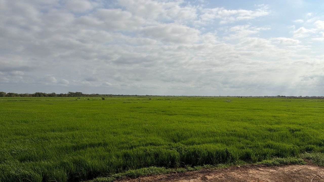 WhatsApp Image 2026-03-25 at 9.00.27 AM.jpeg