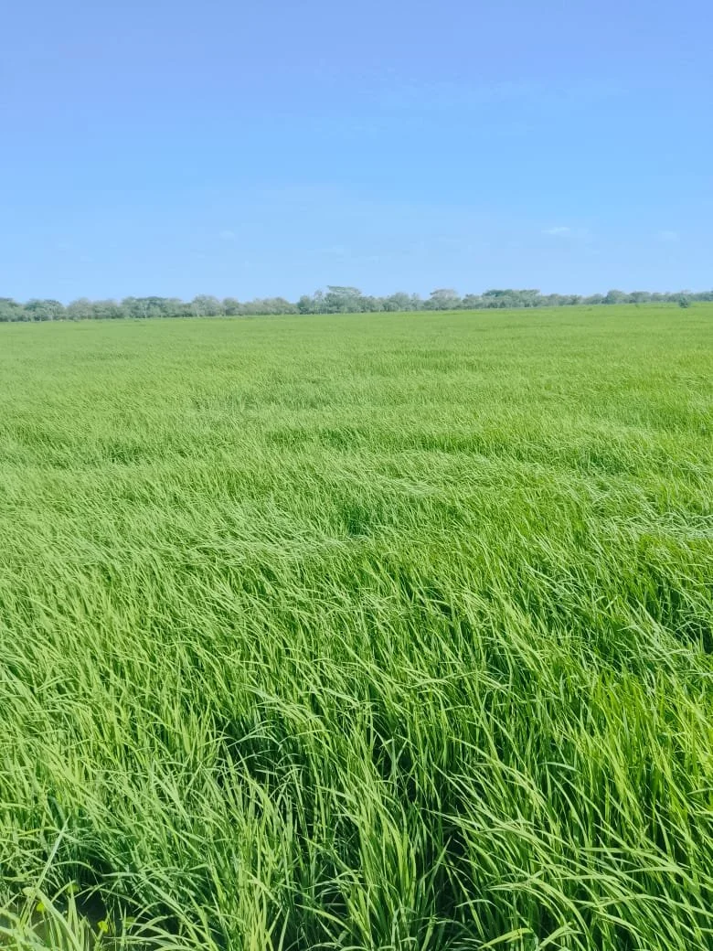 WhatsApp Image 2026-03-10 at 9.25.38 PM.jpeg