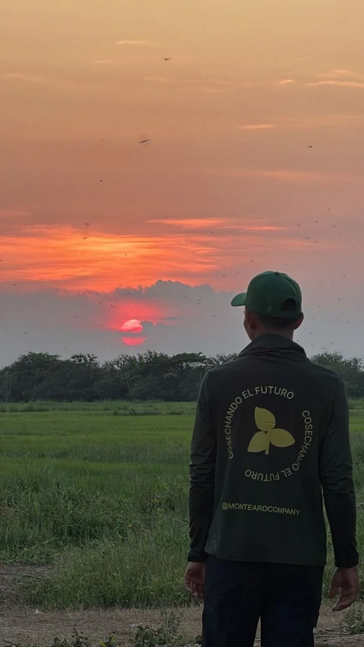 WhatsApp Image 2026-03-20 at 6.52.24 PM.jpeg