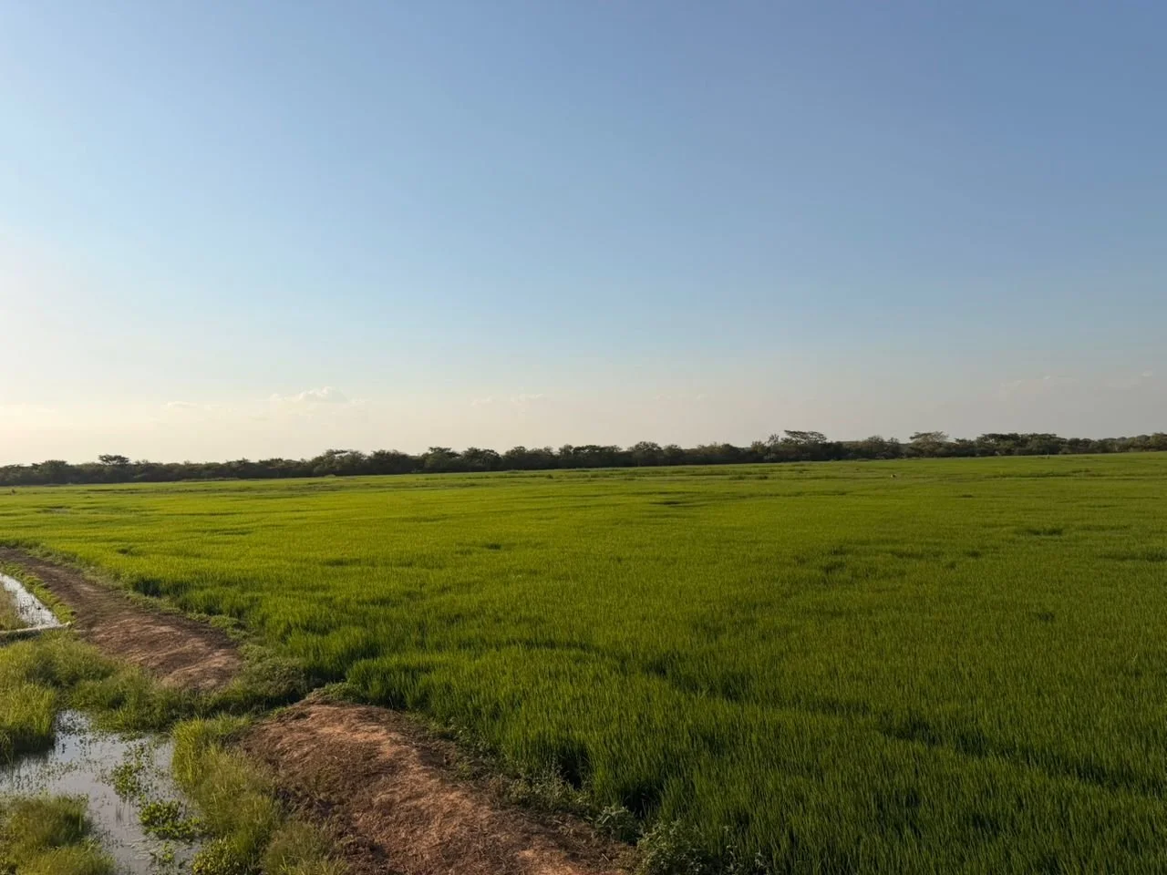 WhatsApp Image 2026-03-25 at 5.34.00 PM.jpeg