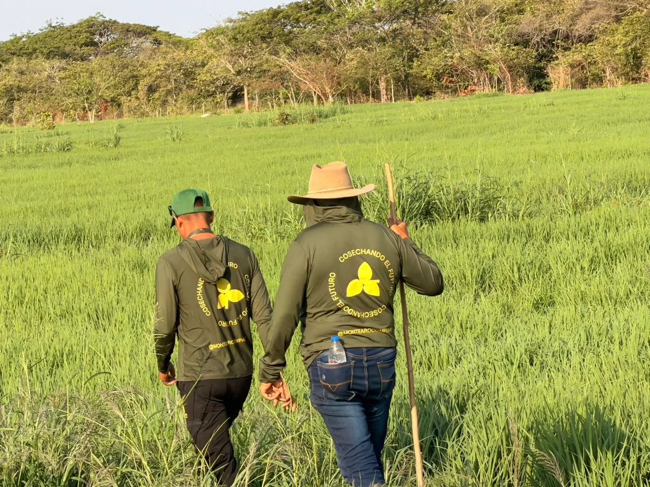 WhatsApp Image 2026-03-25 at 8.10.32 AM.jpeg